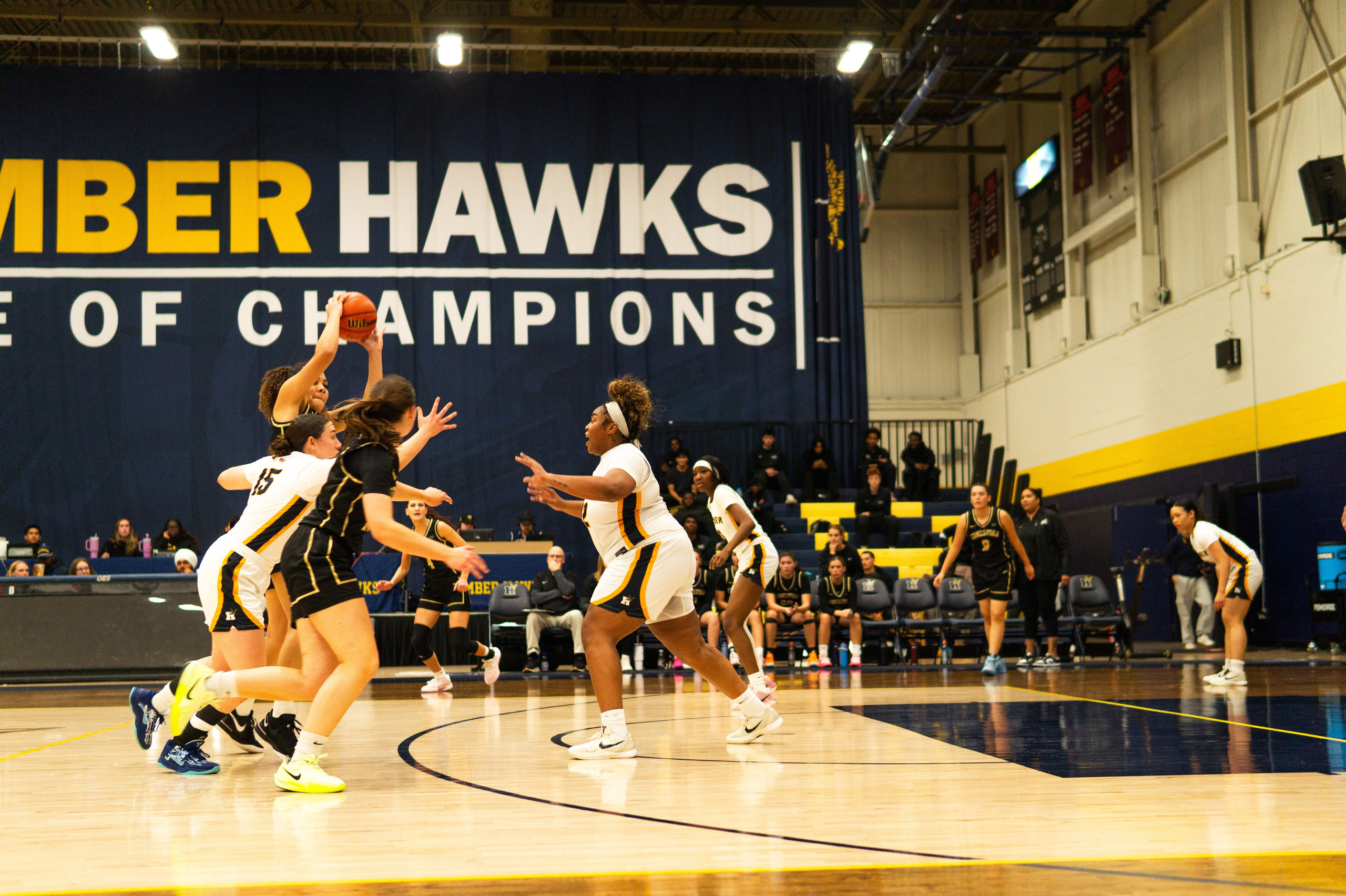 Hawks Nation — Fan Photos