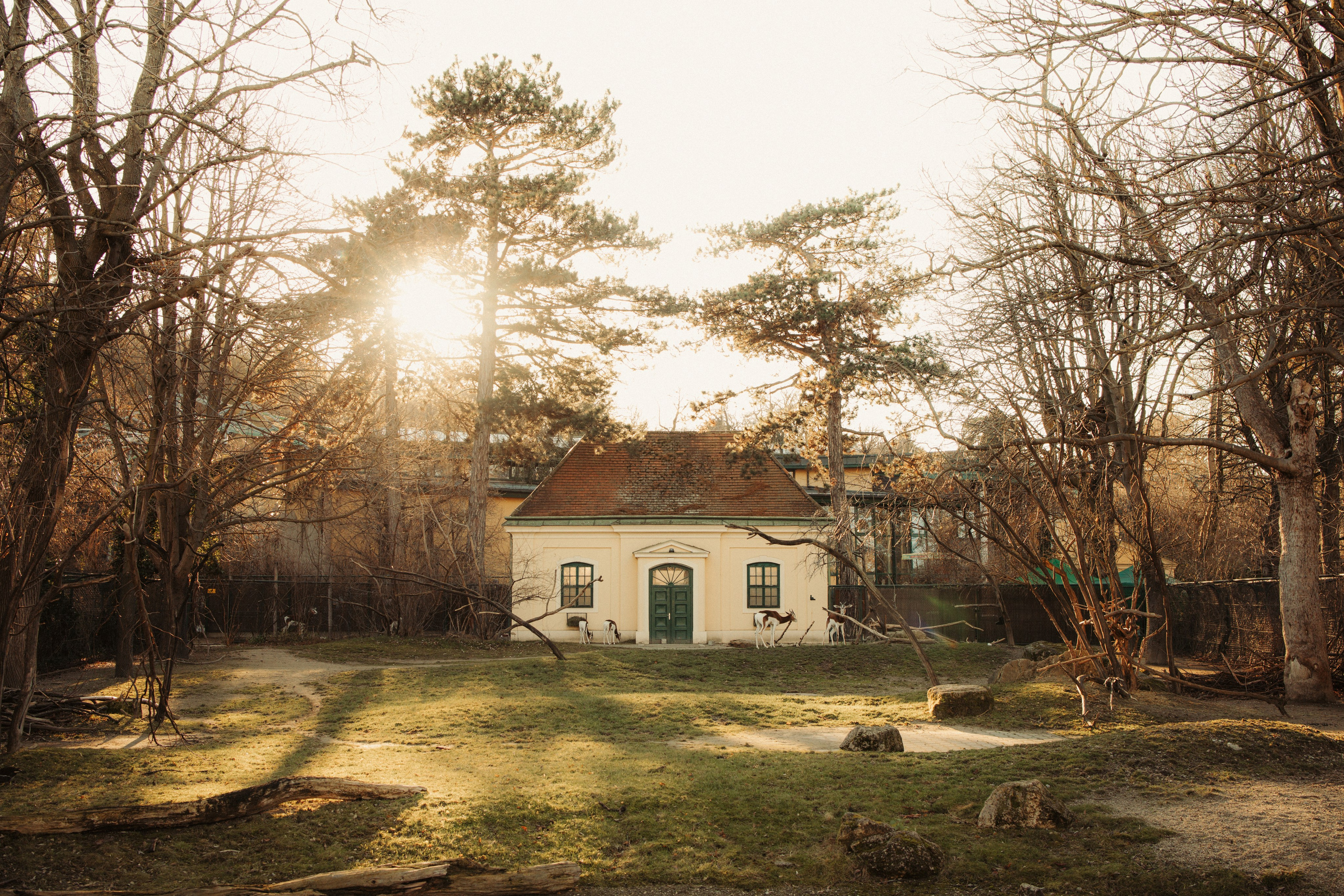 Travel. Giannis Ioannou