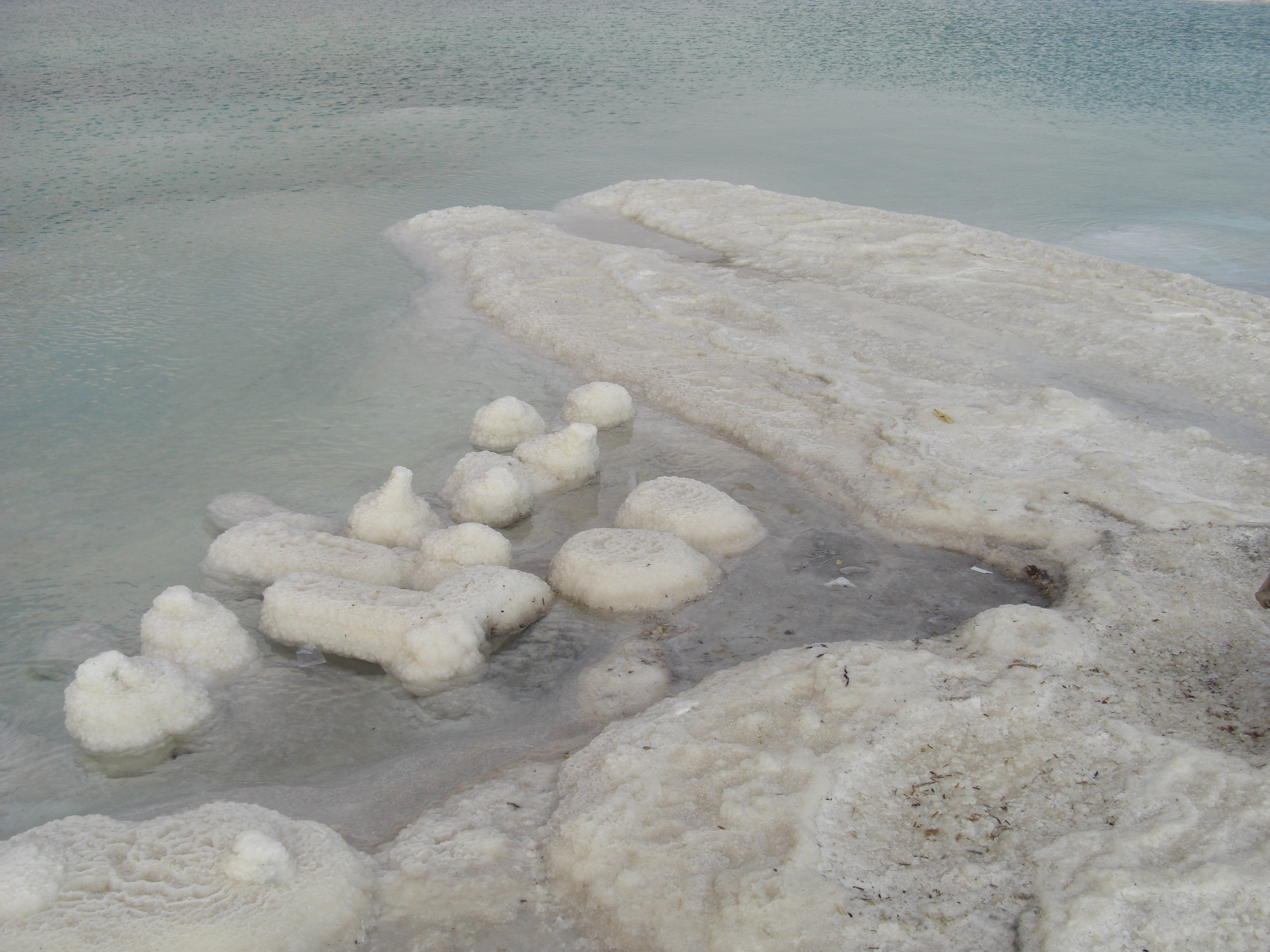 Everything from everything