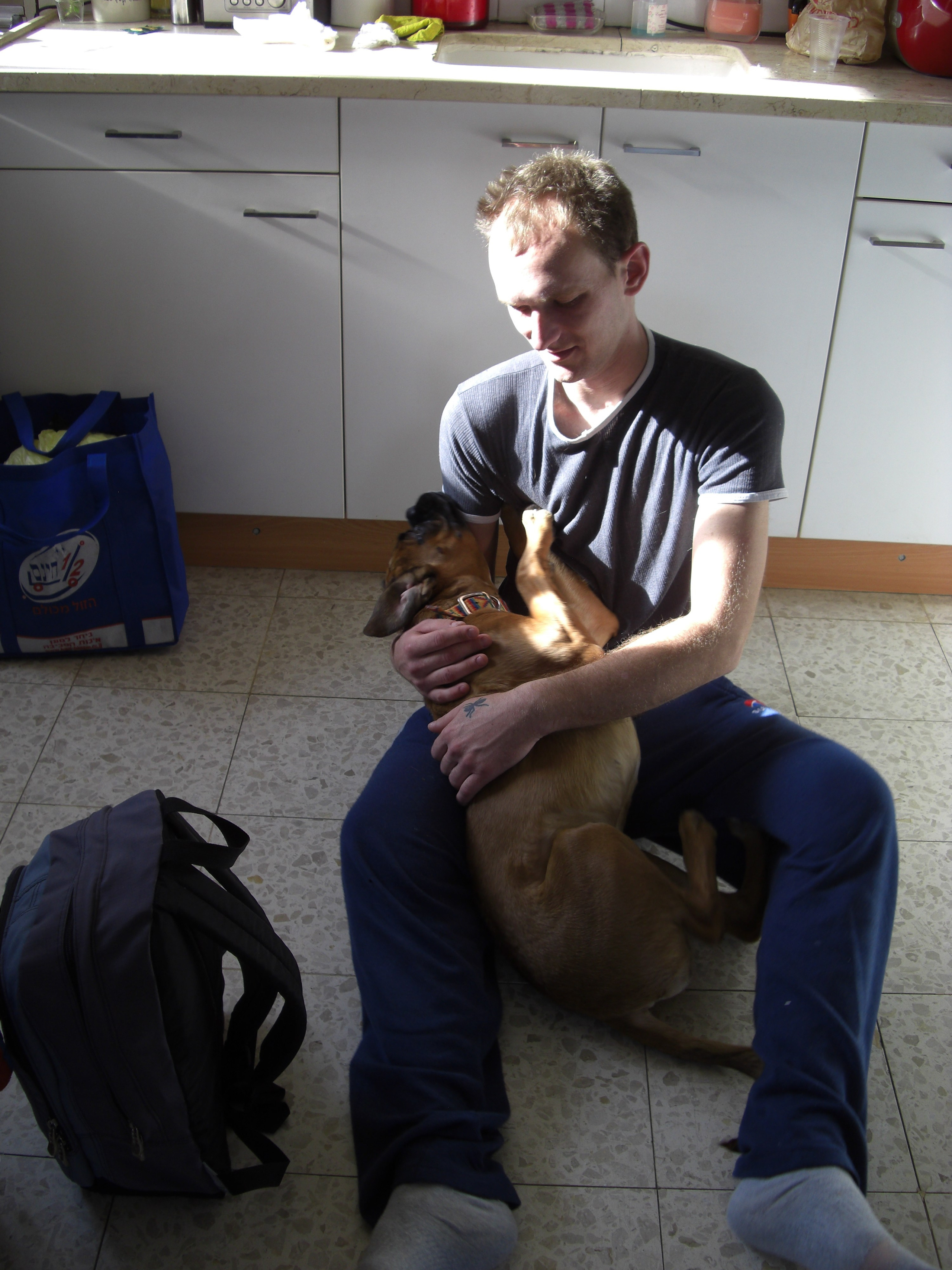 My ״Star״ Boxer Dog