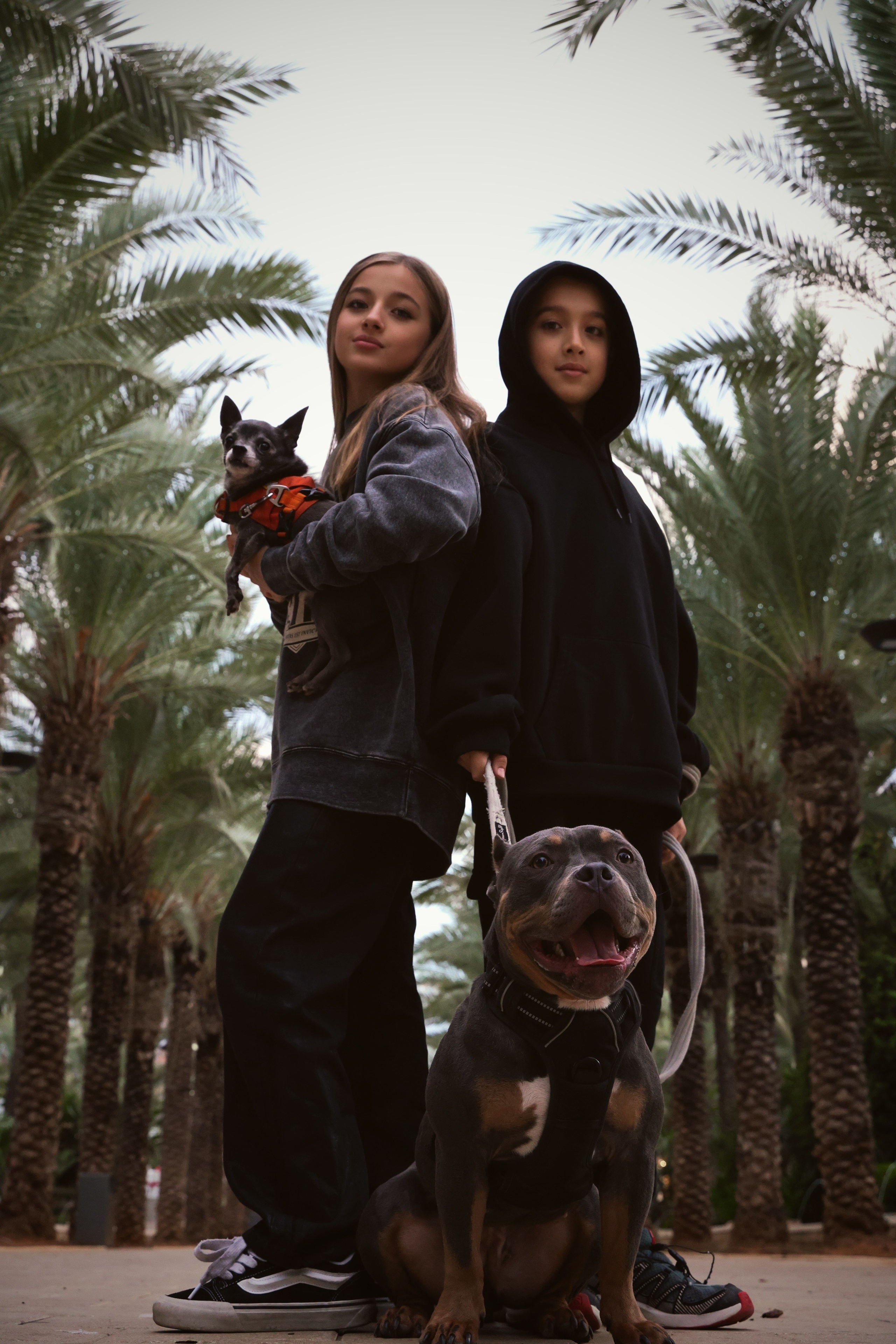 Семейная. Photo__Vladi