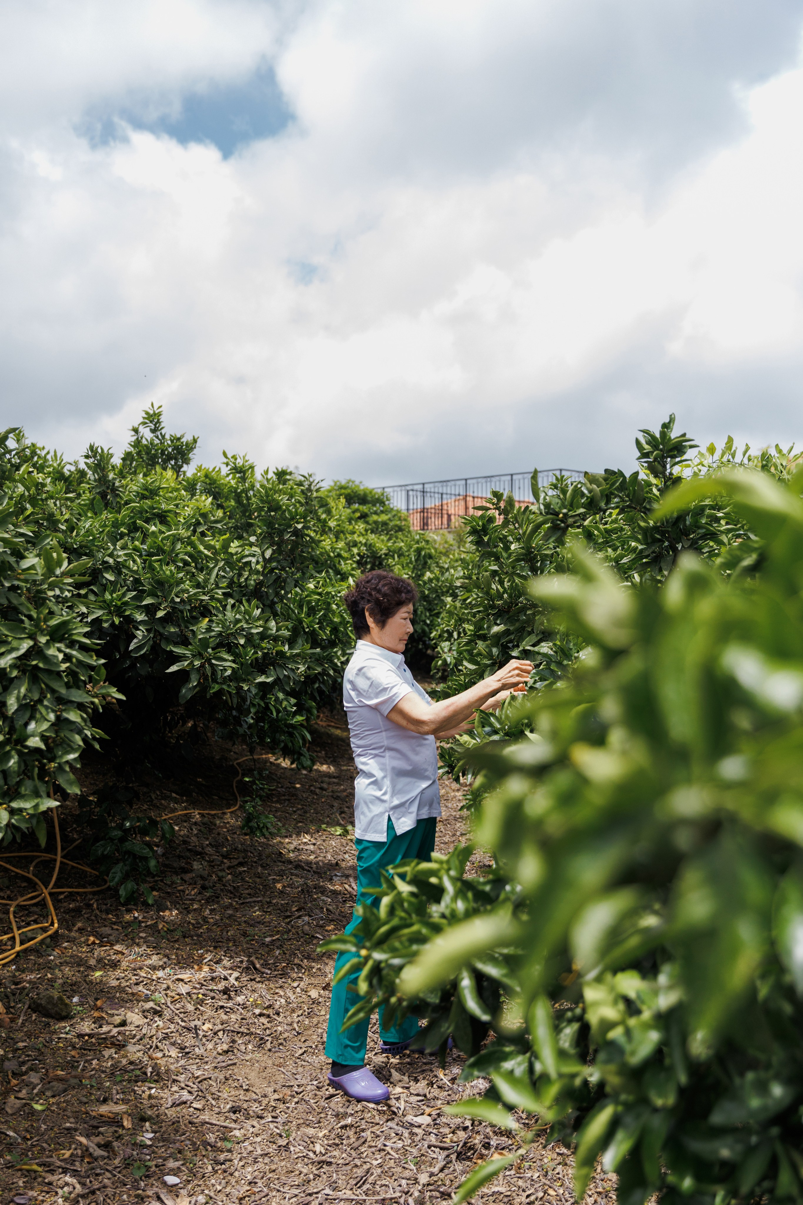 Jeju Island K-Beauty Tour (bohicare). Portrait photographer in South Korea Olga Lian