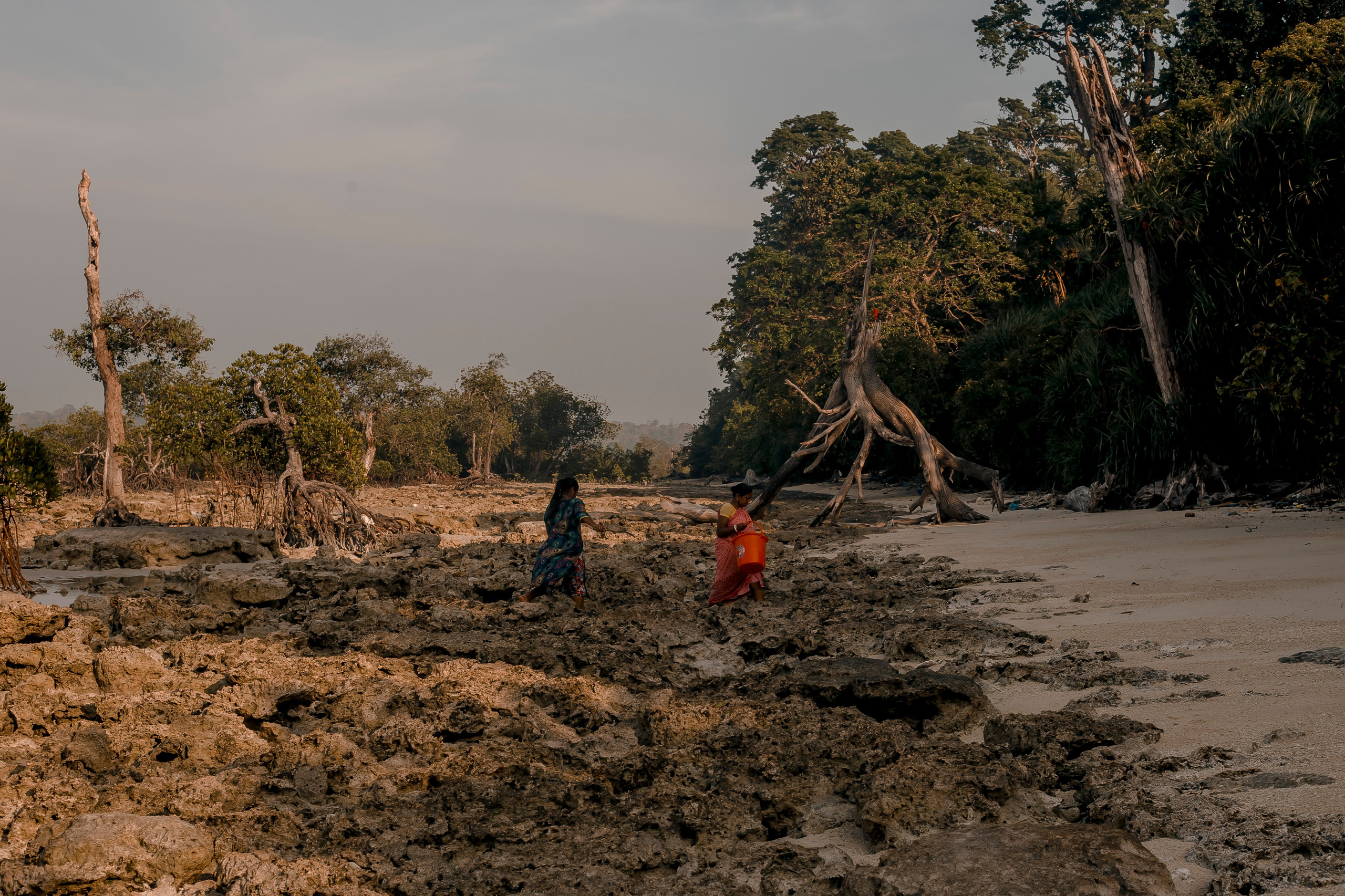 Andaman Islands, Part2. Art Photographer