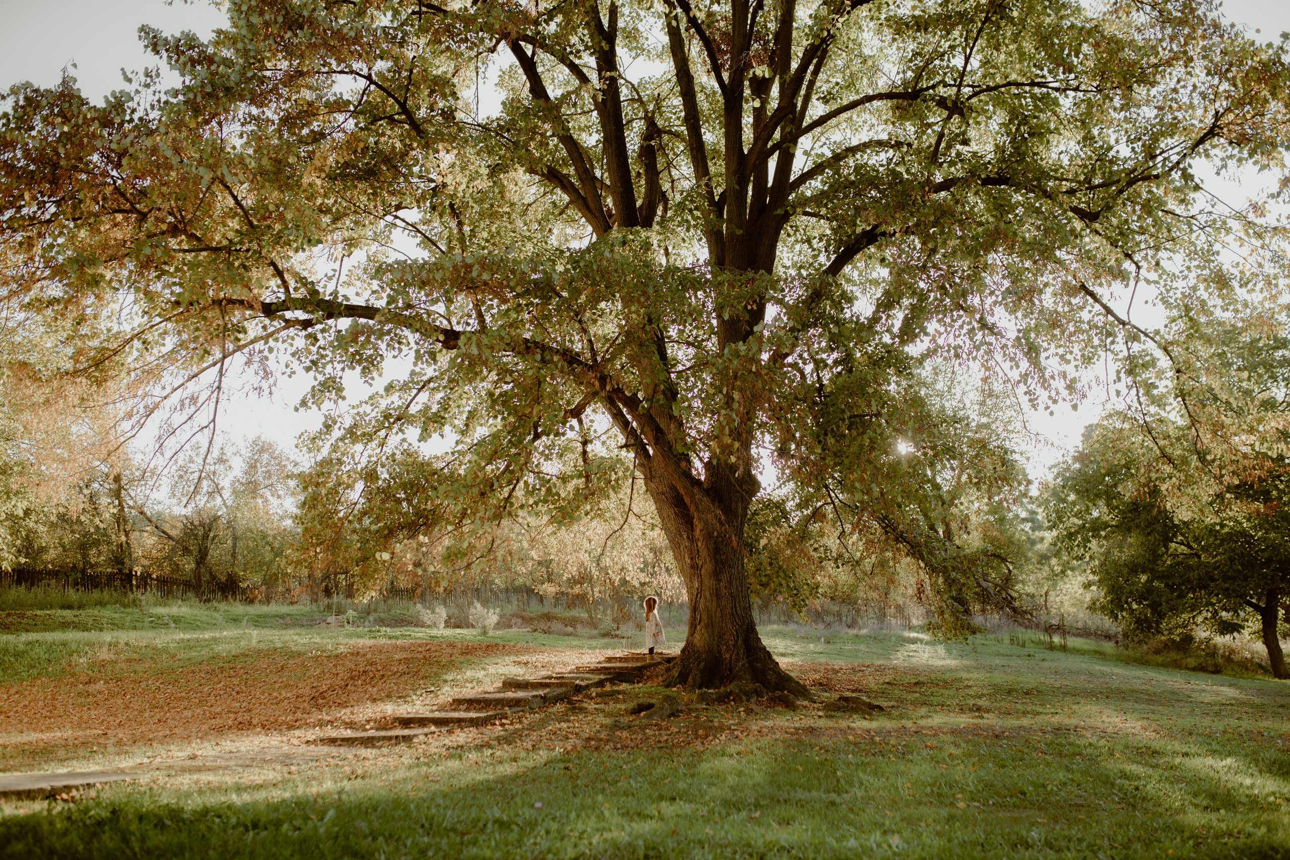 Deca. Wedding & Family photographer Jelena Anđelić