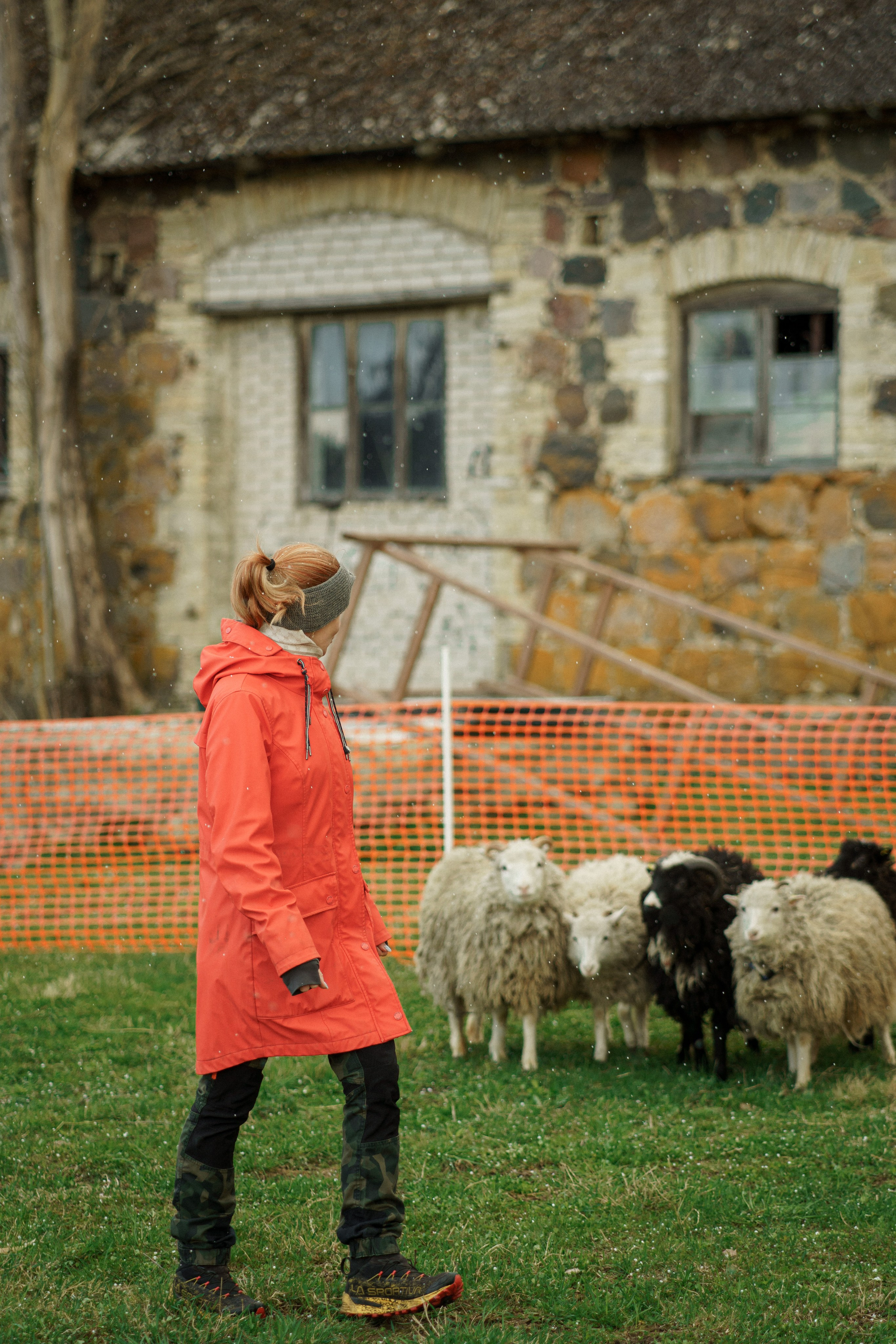 Herding Days, 26 apr. 2025. Kat Laisaar — Pet photographer in Tallinn