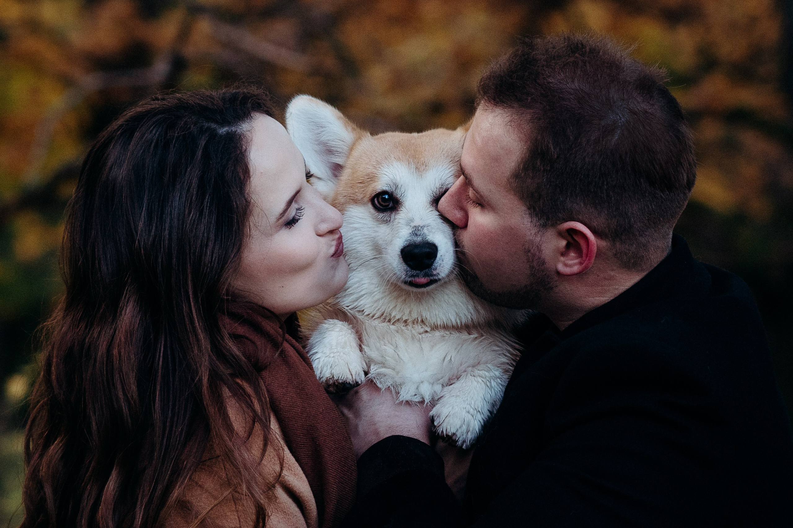 Liisa, Alexander & Marsel. Фотограф-анималист в Таллинне, Катя Лайсаар