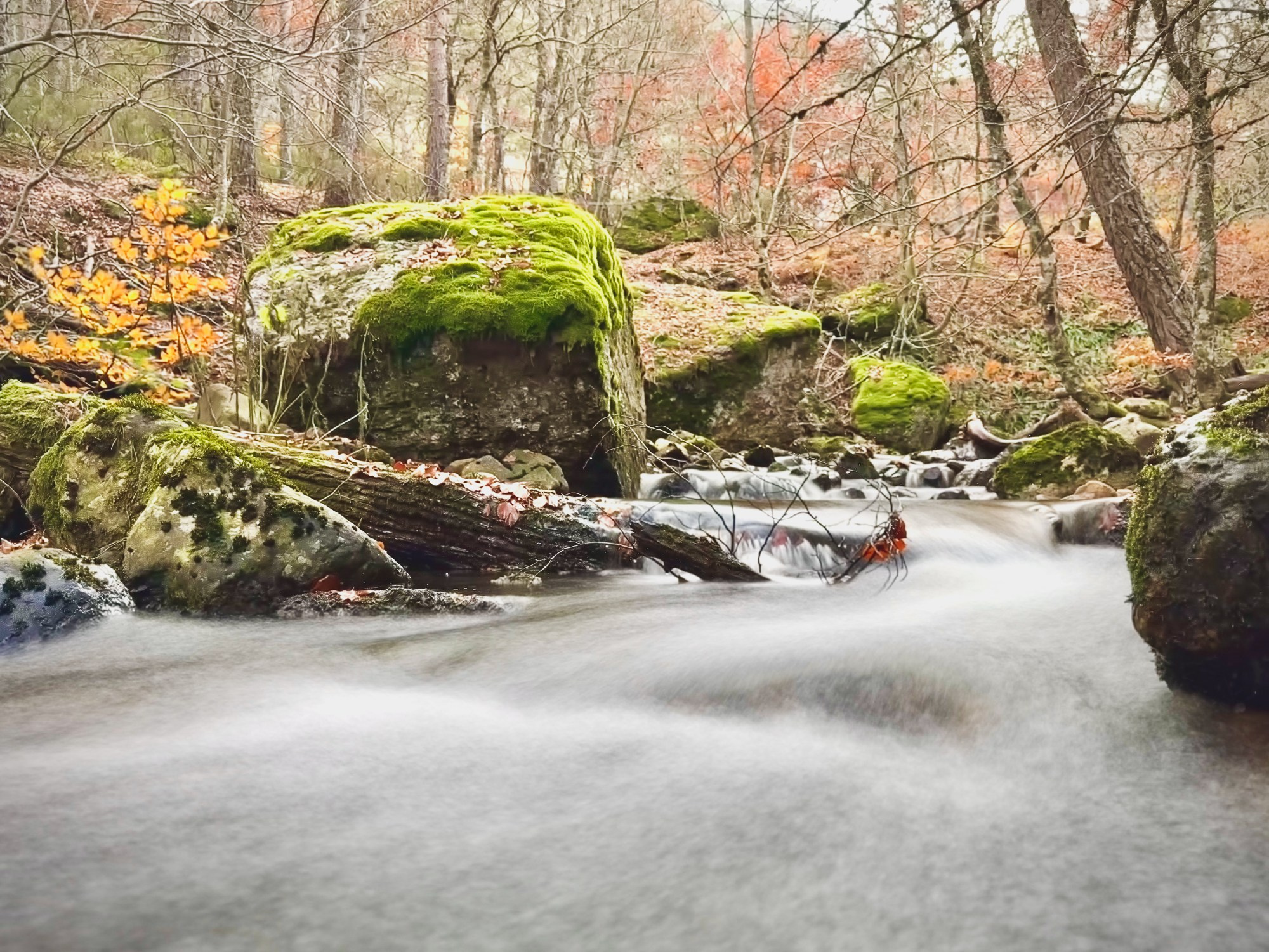 Peisaj /natura. Daniel Criste Fotograf