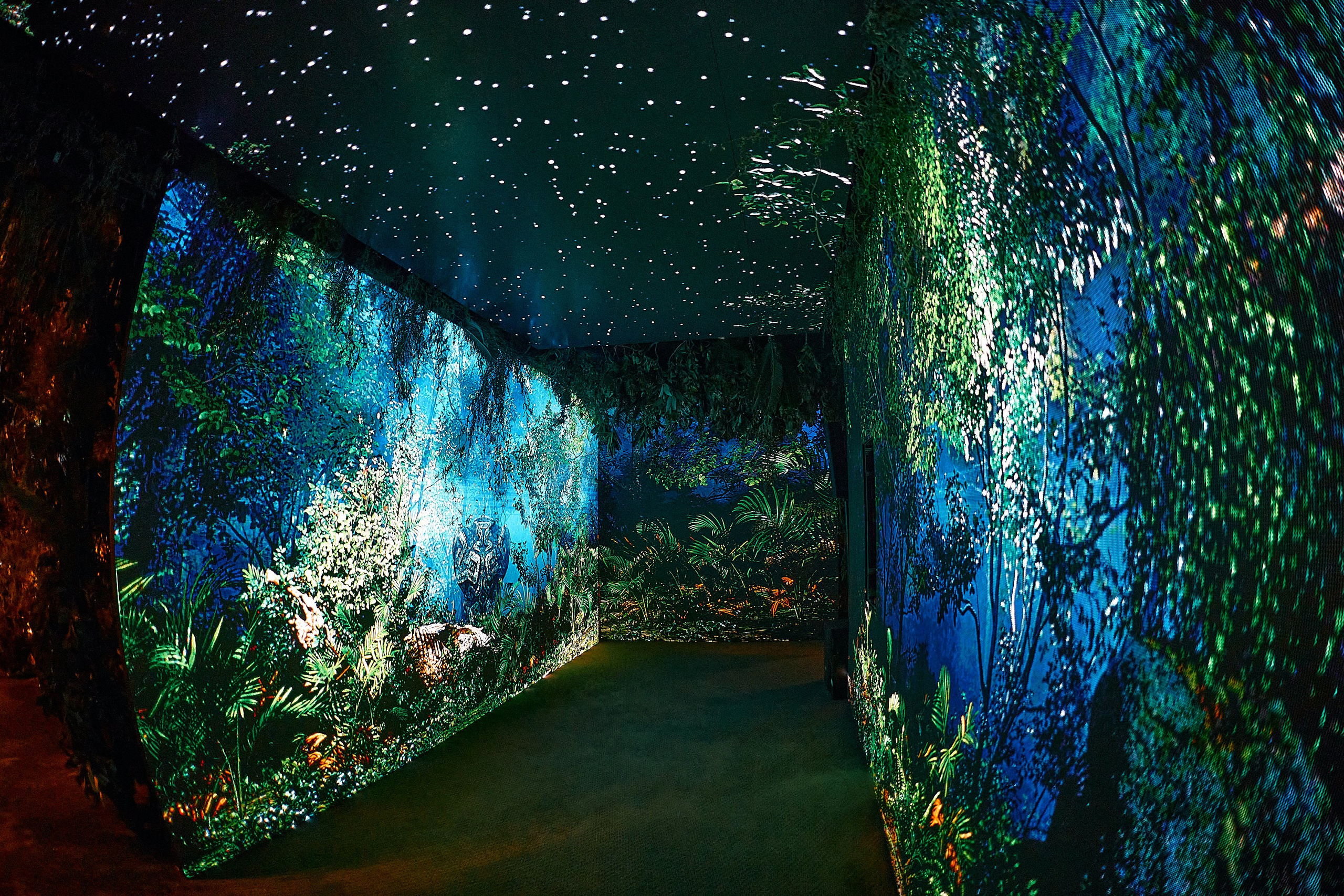 FEDE. Marcos Ferrari Fotógrafo