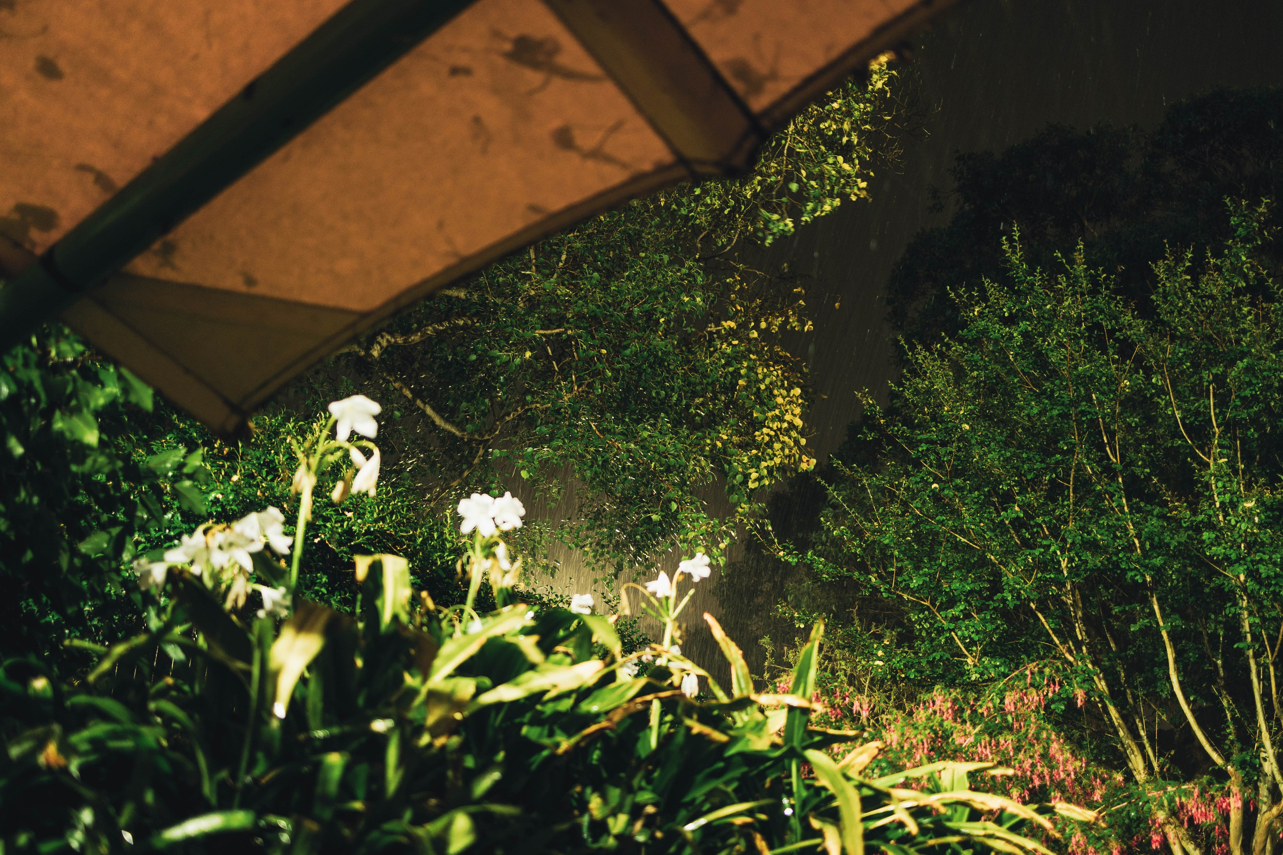 True Story Photography