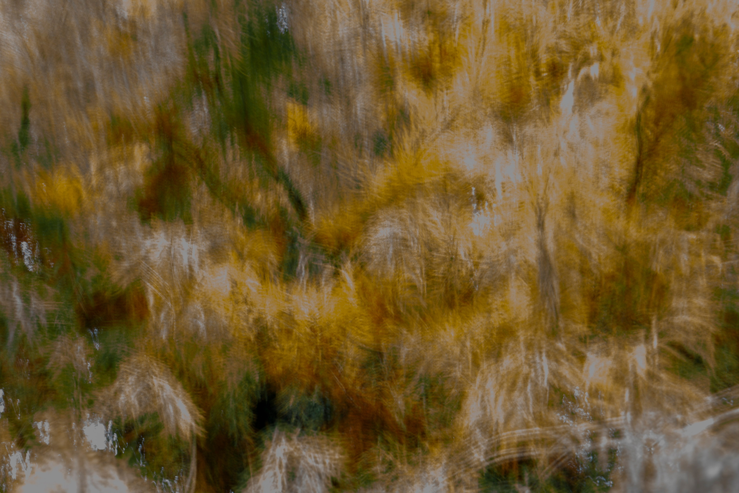 Paysages. Portrais créatifs de familles et individuels, Ile et Vilaine, France