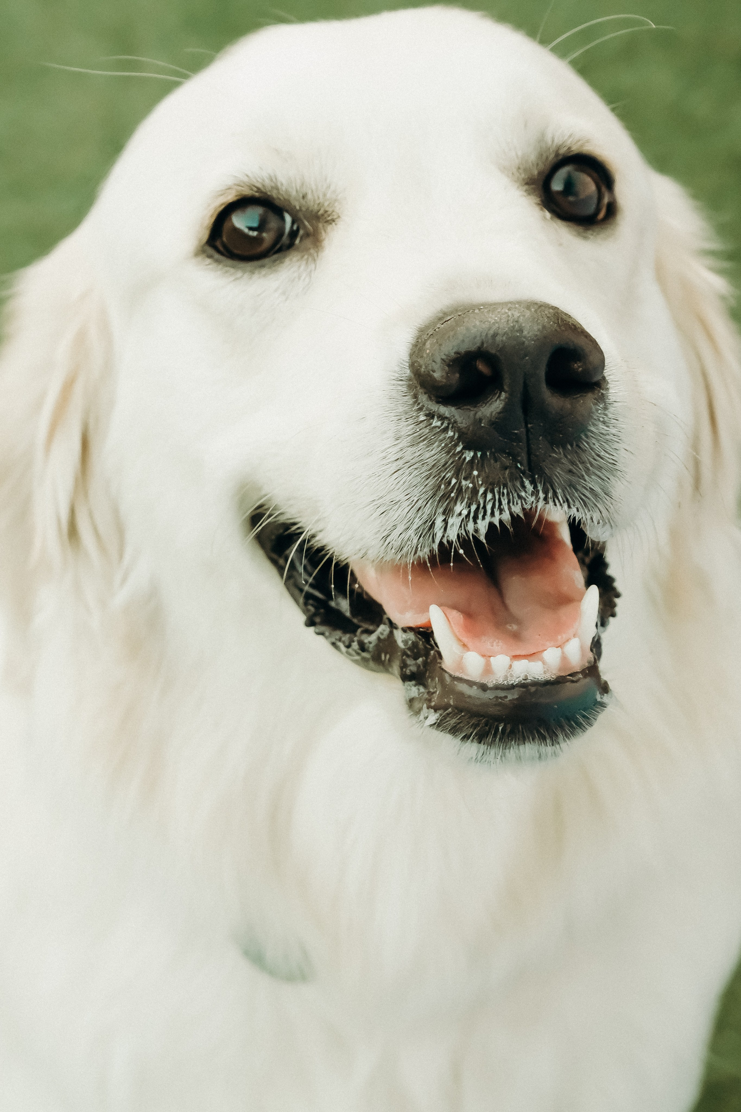 Pool party in  High Villa.  Cascais Sintra Lisbon. Валерія Сичова. Сімейний та репортажний фотограф в Португаліі