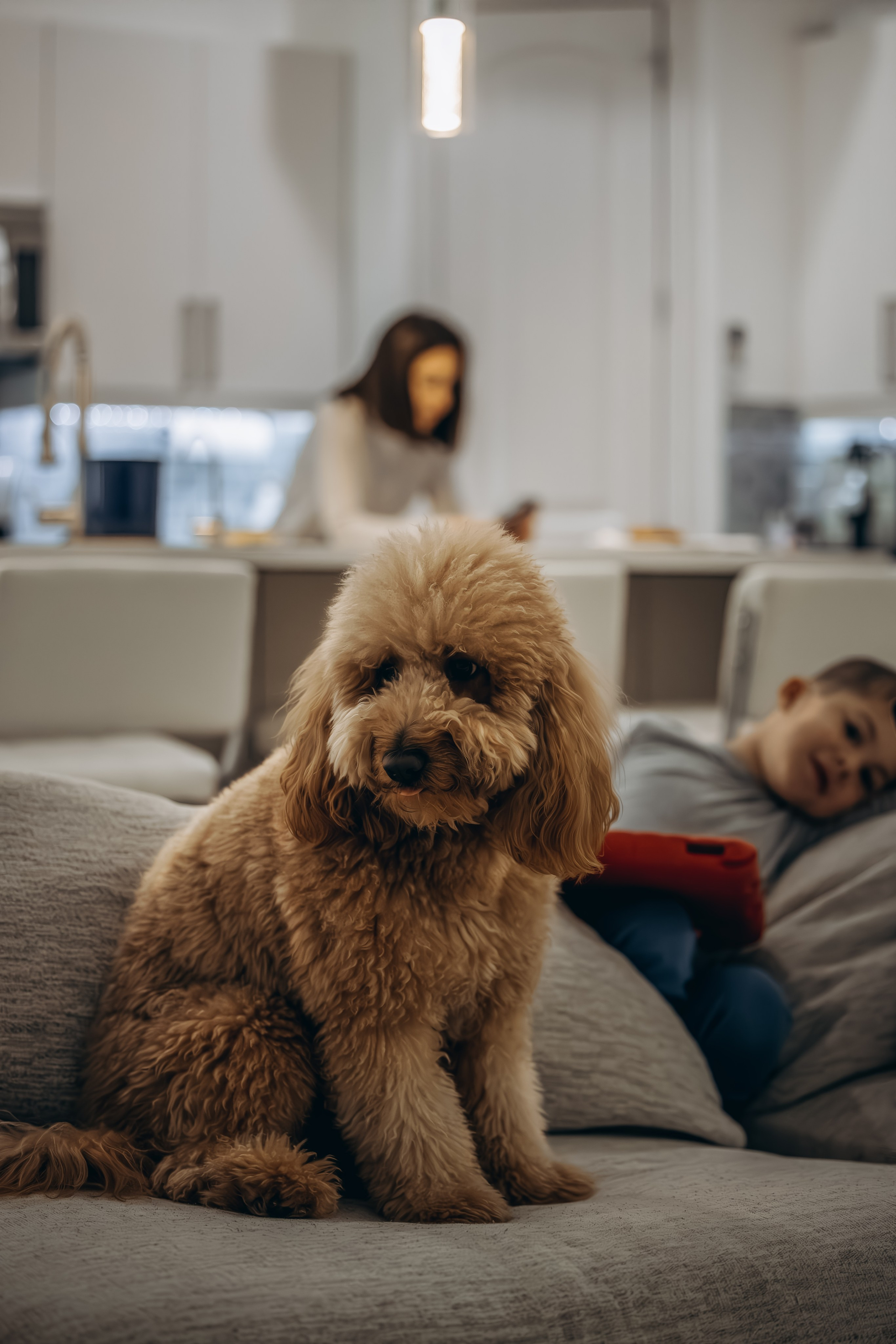 Richie & his Family. Pet Photographer Viktoriya Aleshenko