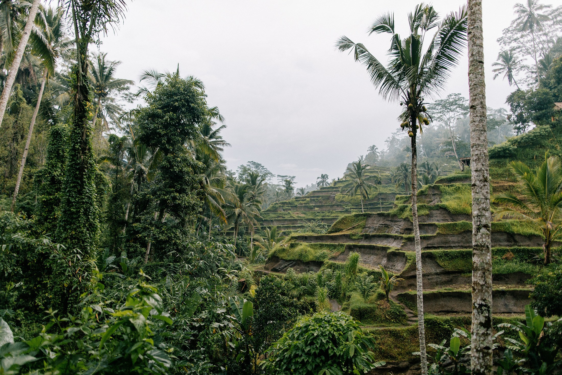 Rice terraces + secret temple. Getitfeel — Aesthetic Photography and Videography