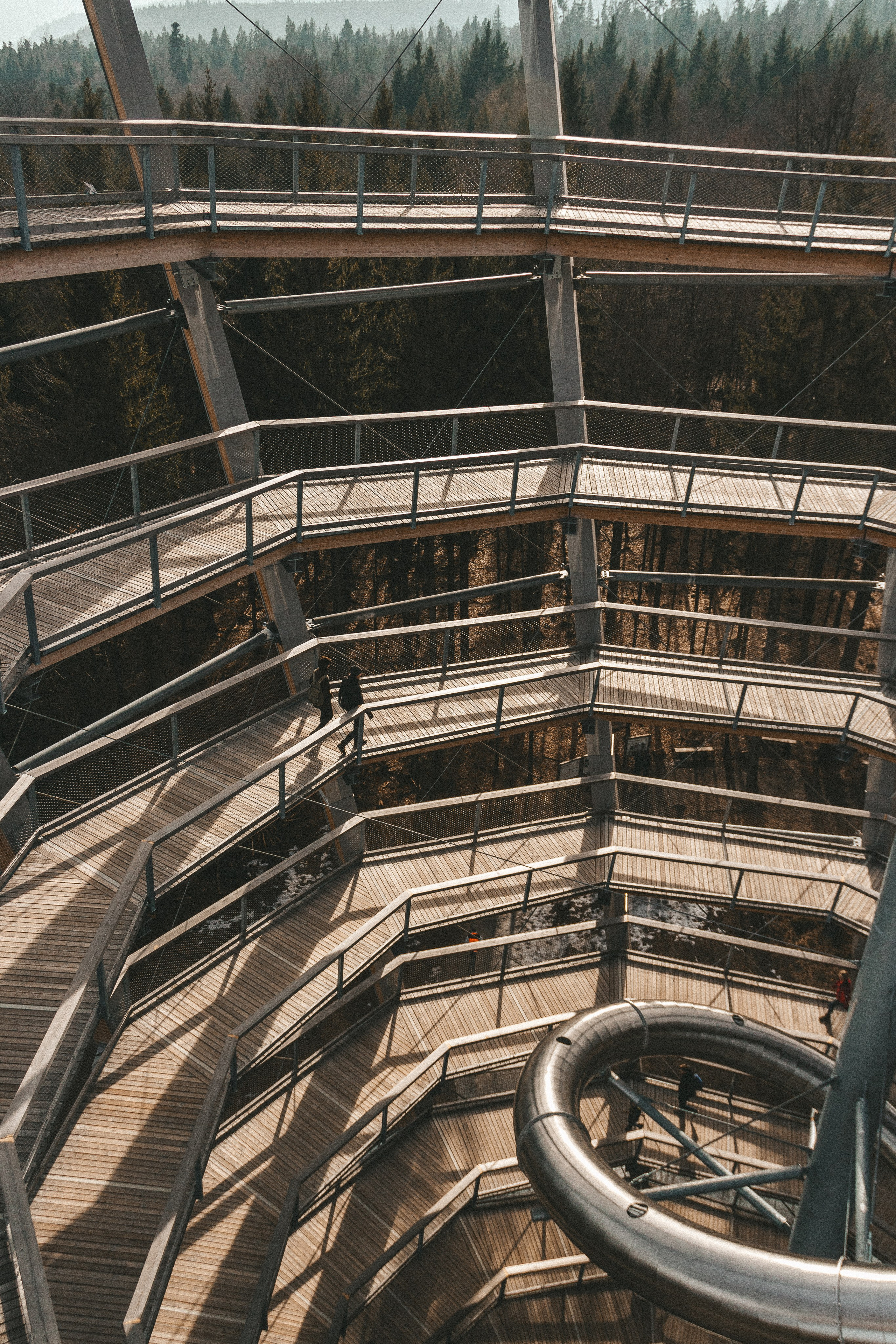 Baumwipfelpfad in Bad Wildbad. Maria Chistyakovа — Fotografin in Karlsruhe, Baden-Baden und Umgebung