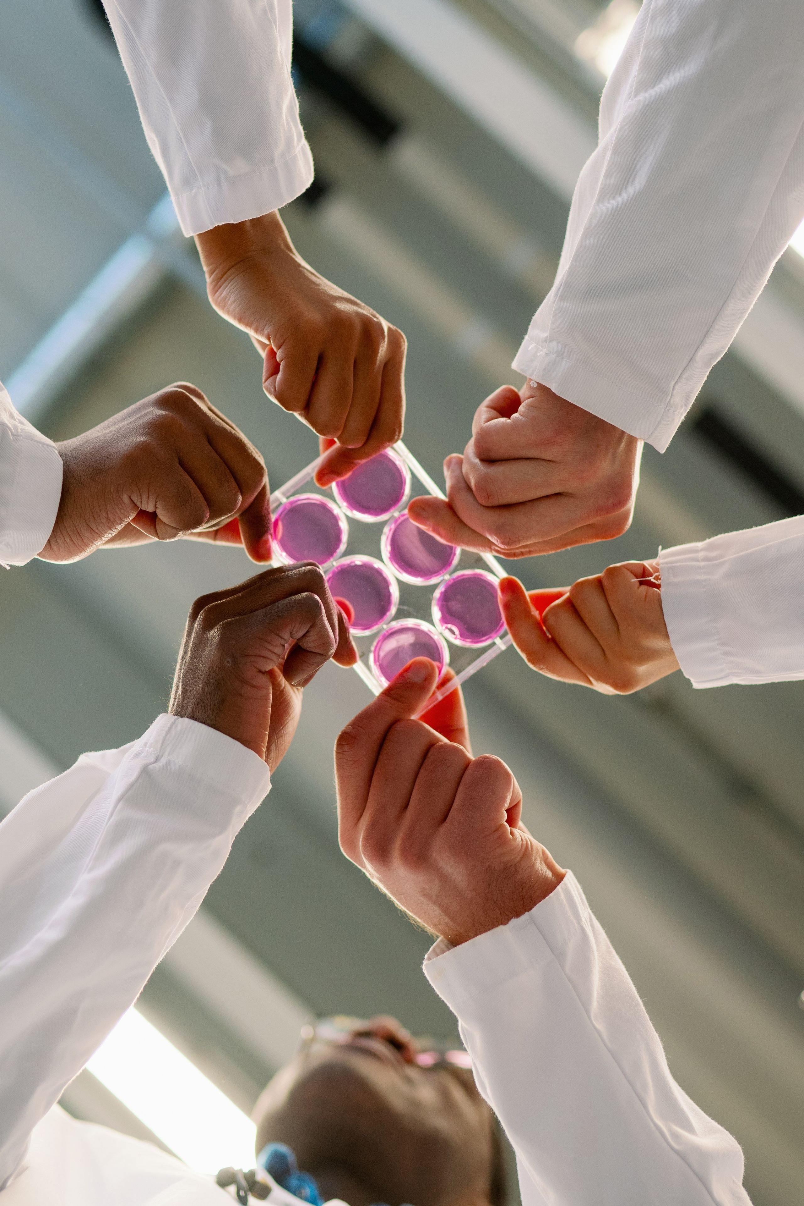 Companies. Camilla Bloom