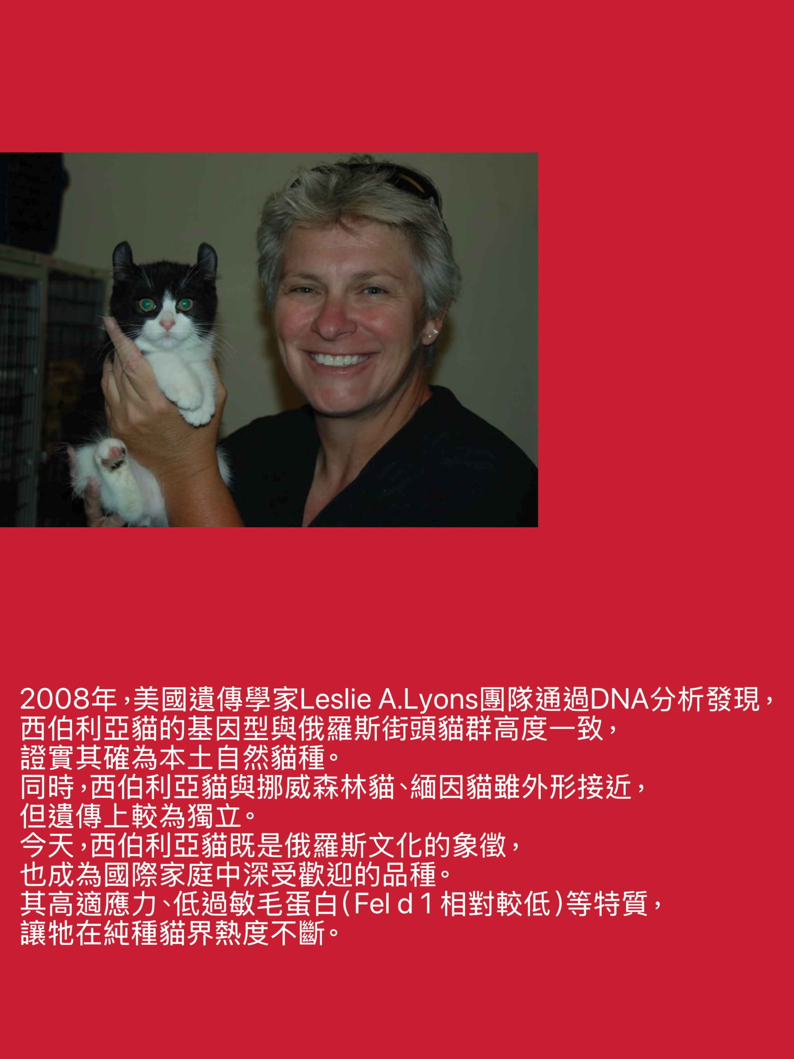 LEMON GREEN SIBERIANS