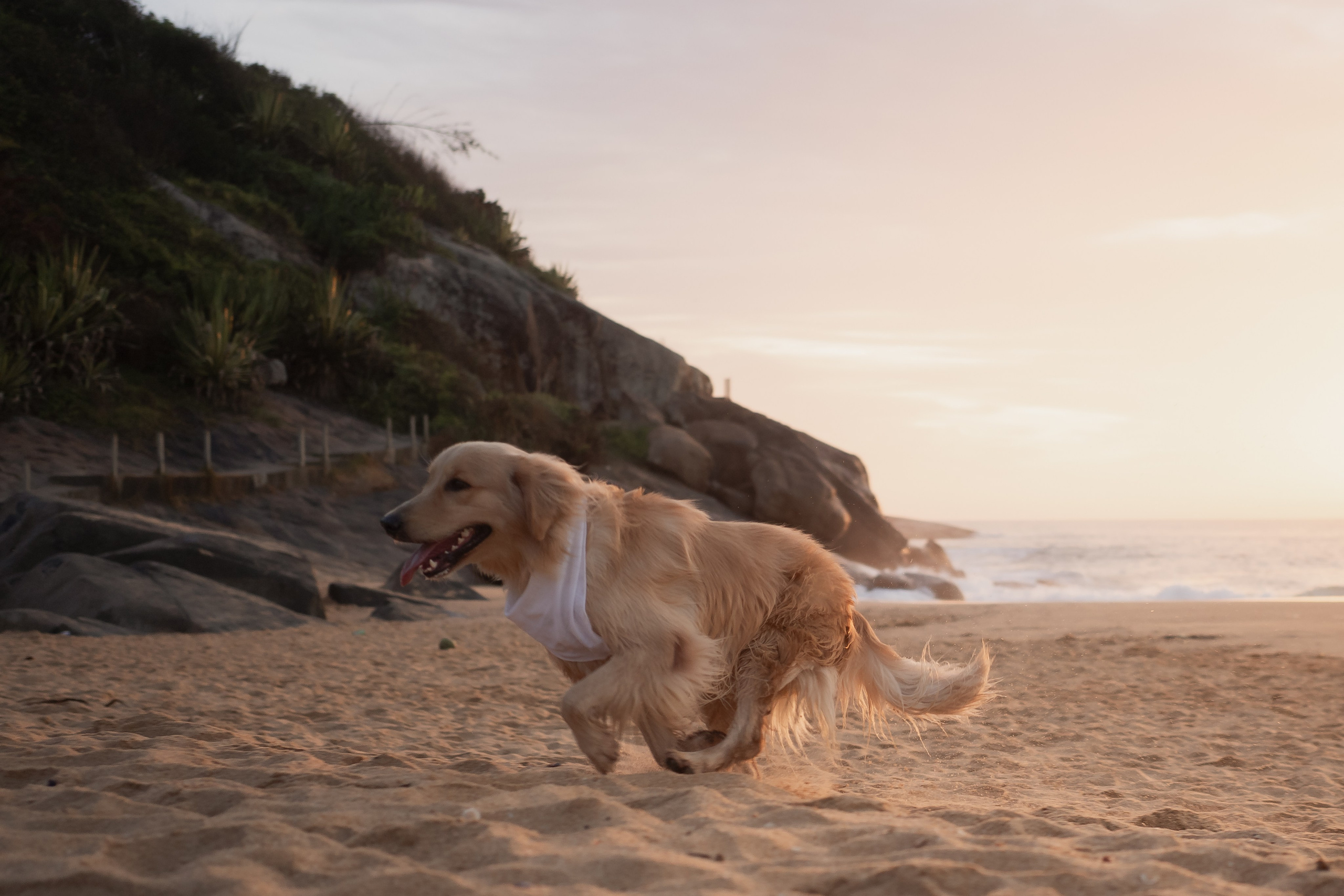 Isabella & Rodrigo | Vila Velha — ES. Lembrar não é só ver. É sentir de novo