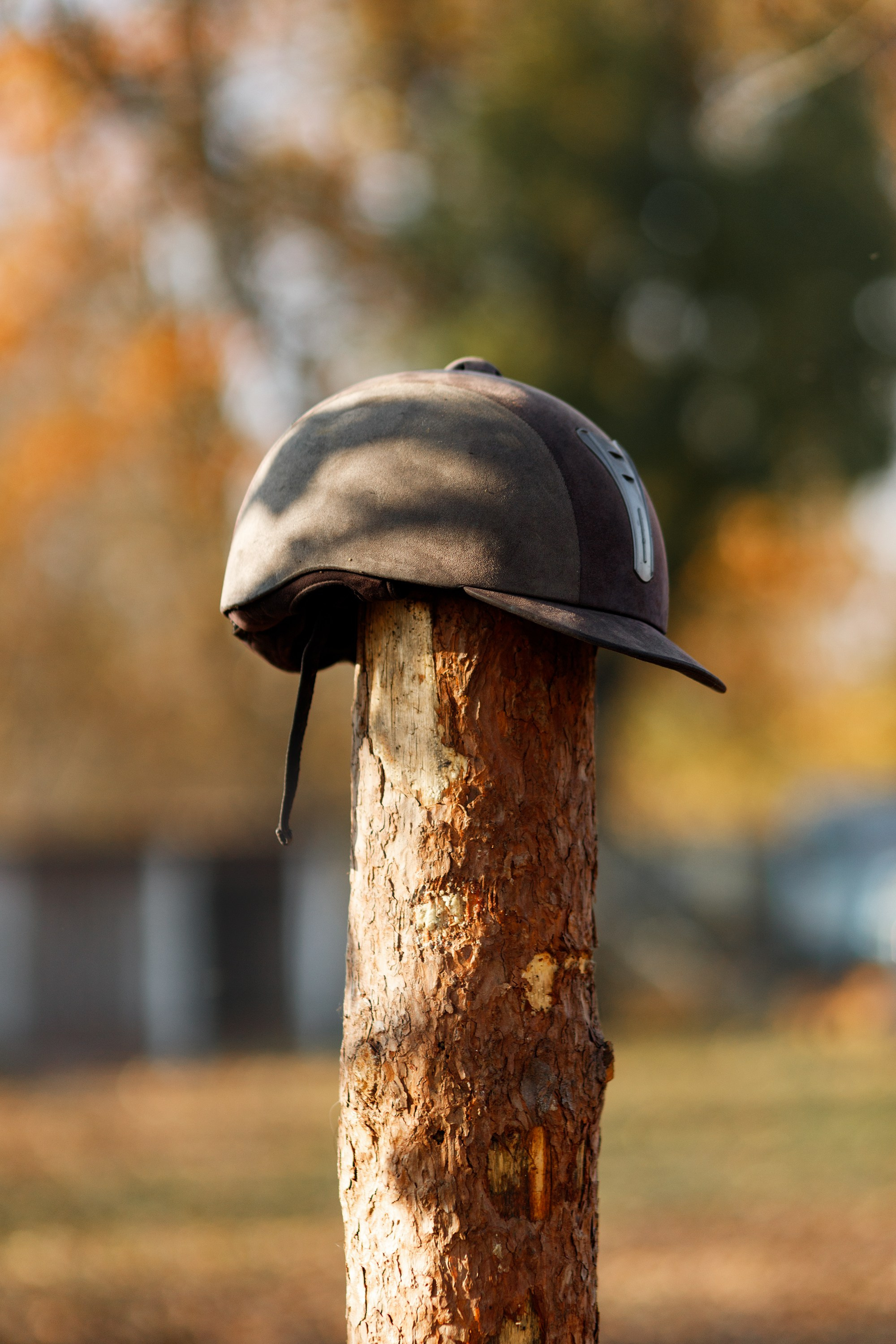 Autumn equestrian training. Kaja | fotograf psów we Wrocławiu