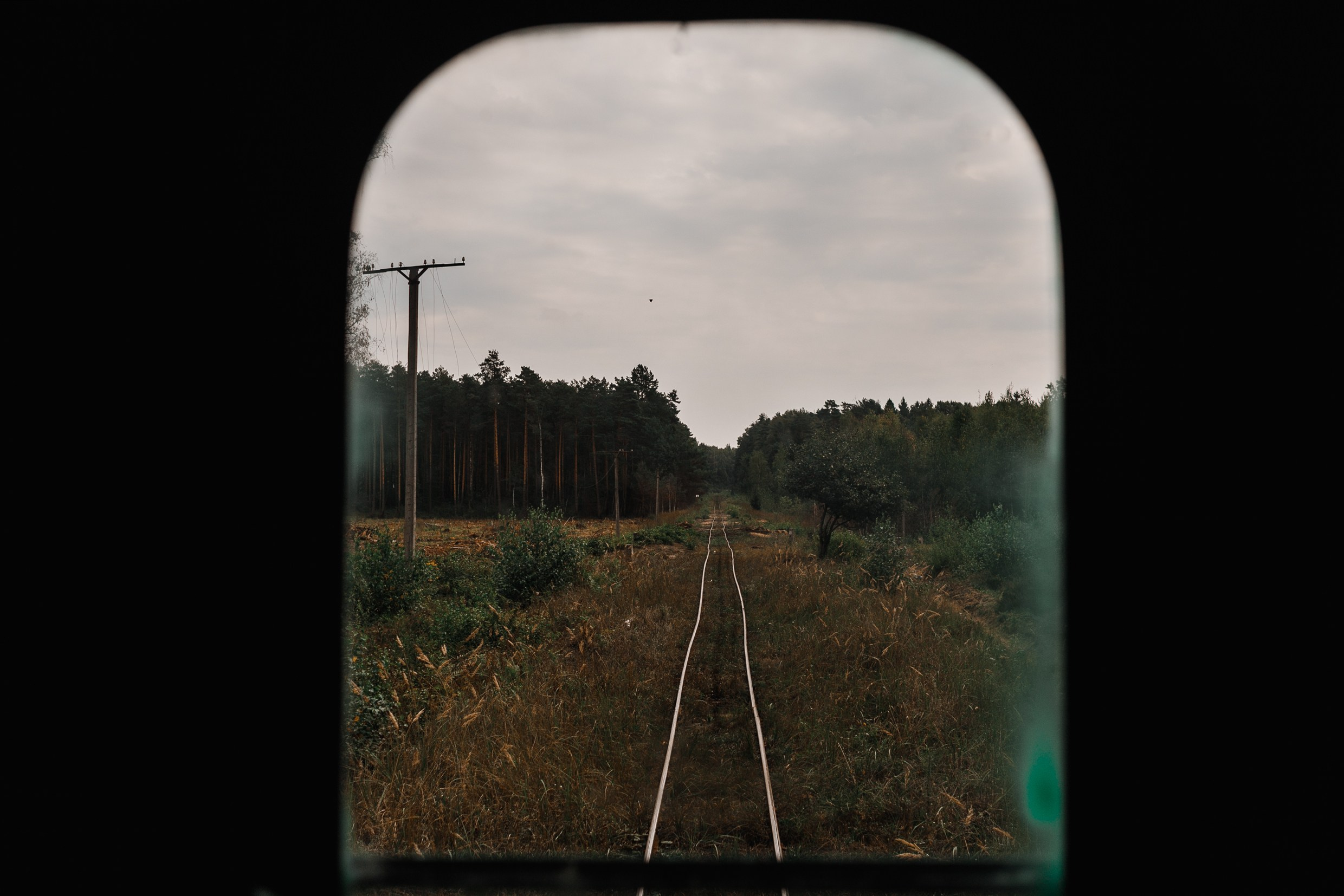 Narrow-gauge railway trip. Kaja | fotograf psów we Wrocławiu
