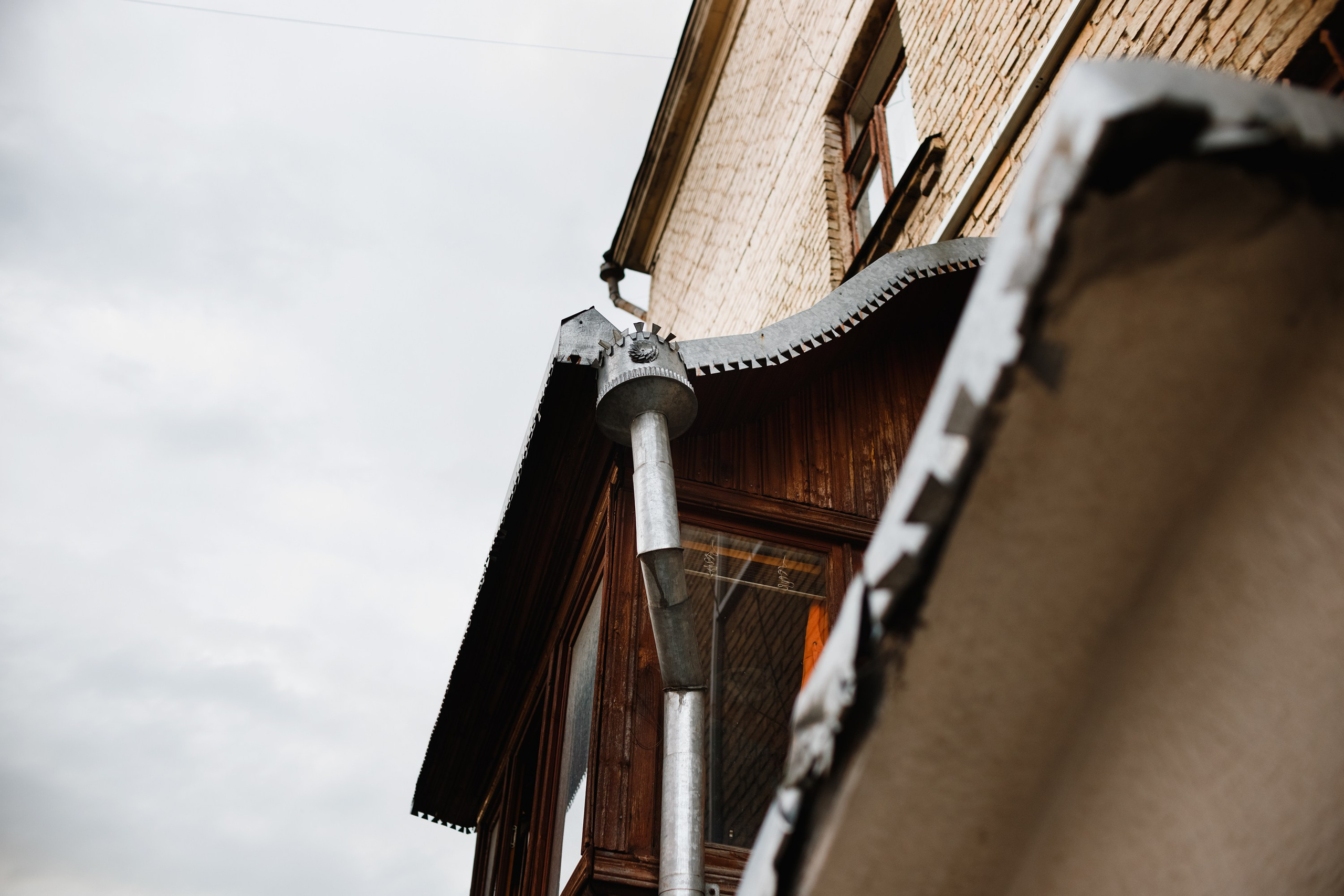 Grodno. Kaja | fotograf we Wrocławiu | ludzie i psy