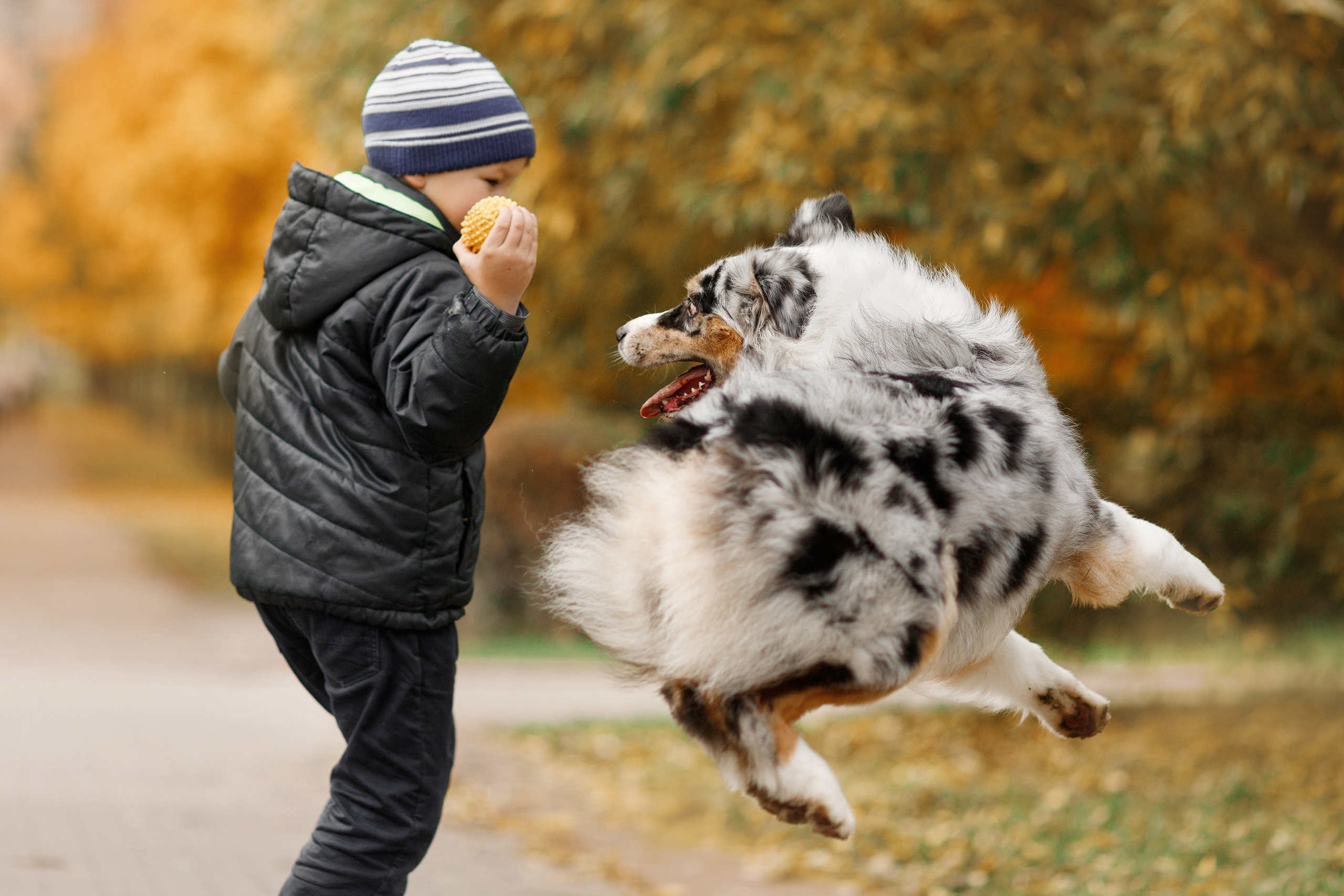 Autumn photo day for dog handler. Kaja | fotograf we Wrocławiu | ludzie i psy