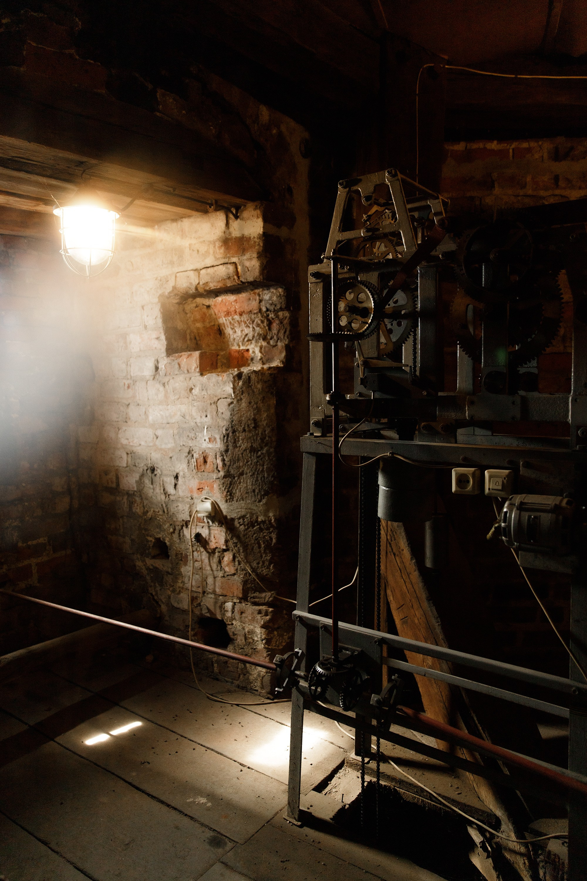 Oleśnica castle. Kaja | fotograf psów we Wrocławiu