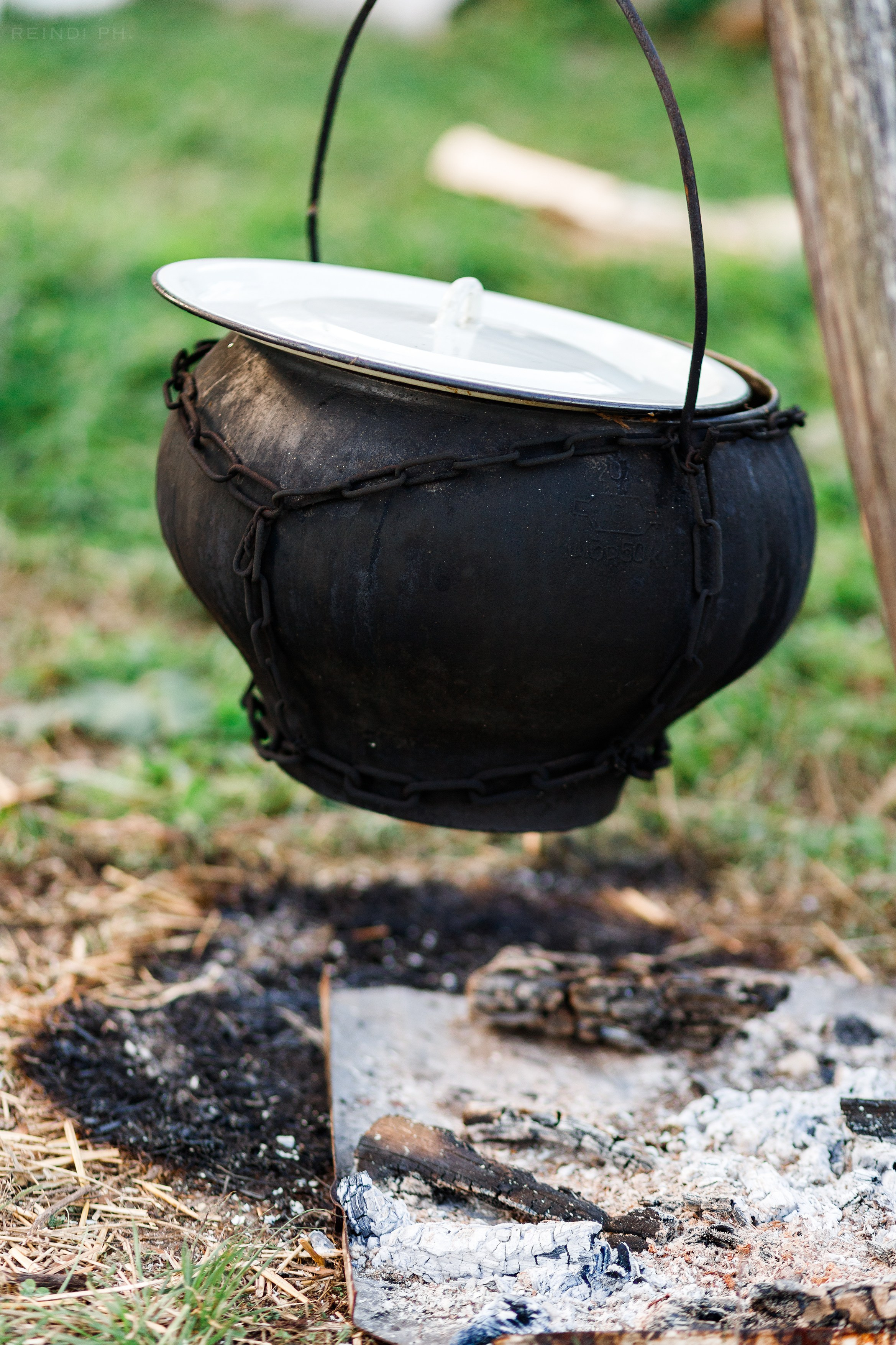 Horse show in the village. Kaja | fotograf we Wrocławiu | ludzie i psy