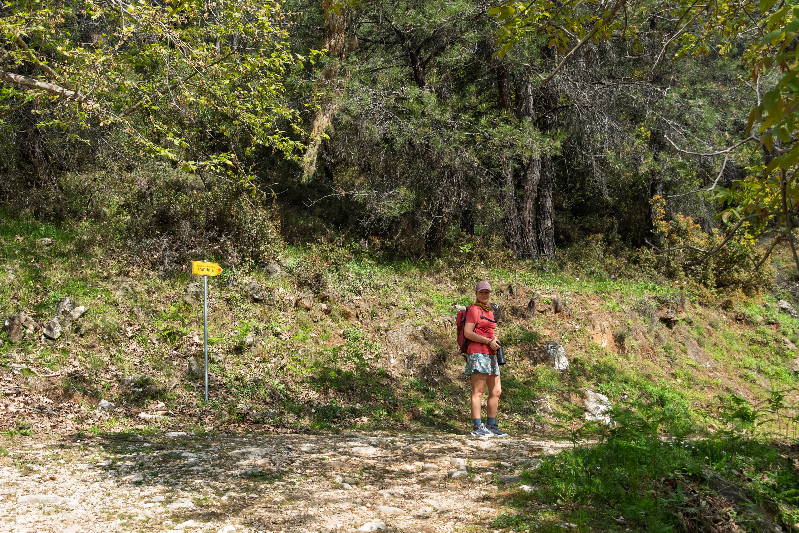 Thasos 2025. Fotografiideplacere.net