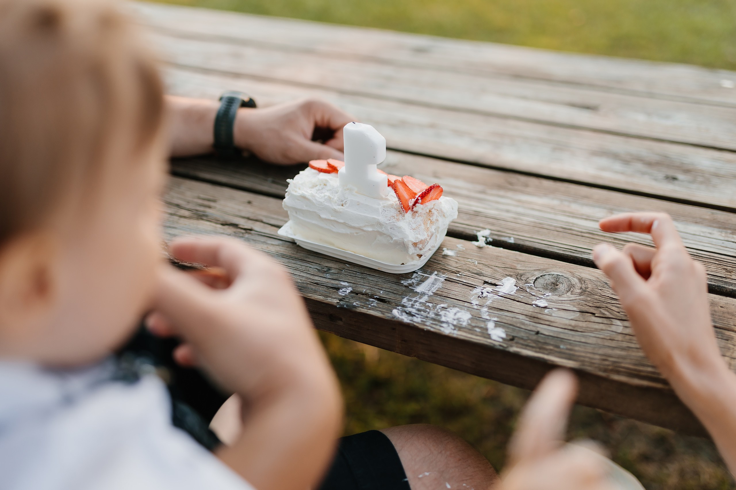 07.08.24 Family Photoshoot. Wedding family event photographer in Chicago Nick Yushevich