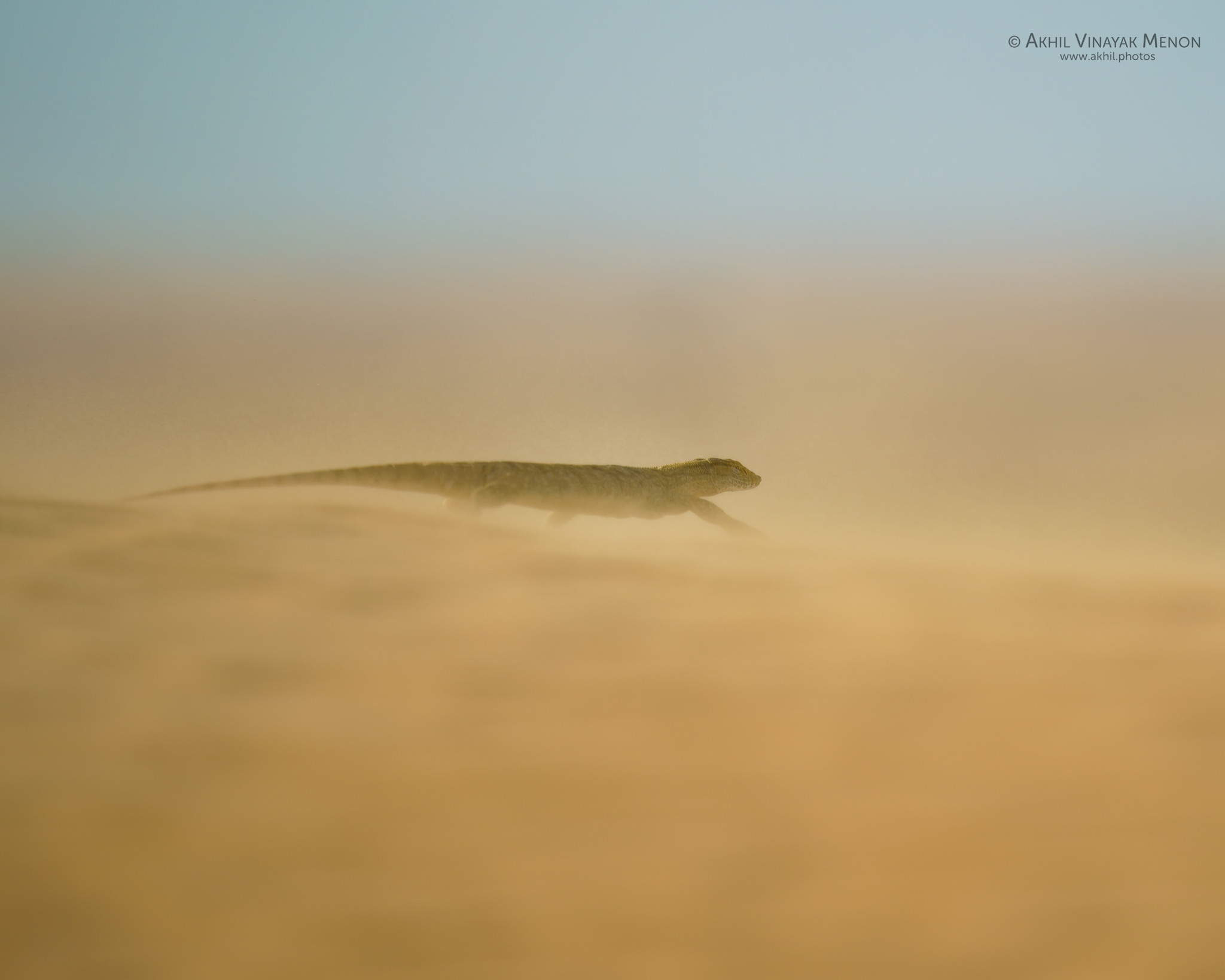 Akhil Vinayak Menon Photography