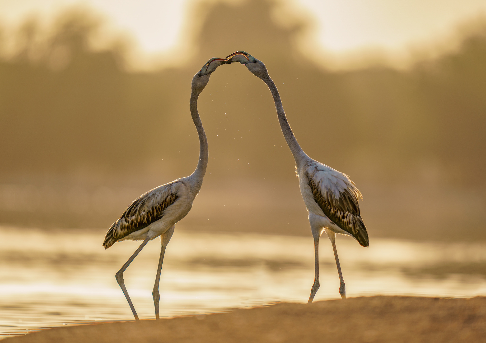 Akhil Vinayak Menon Photography