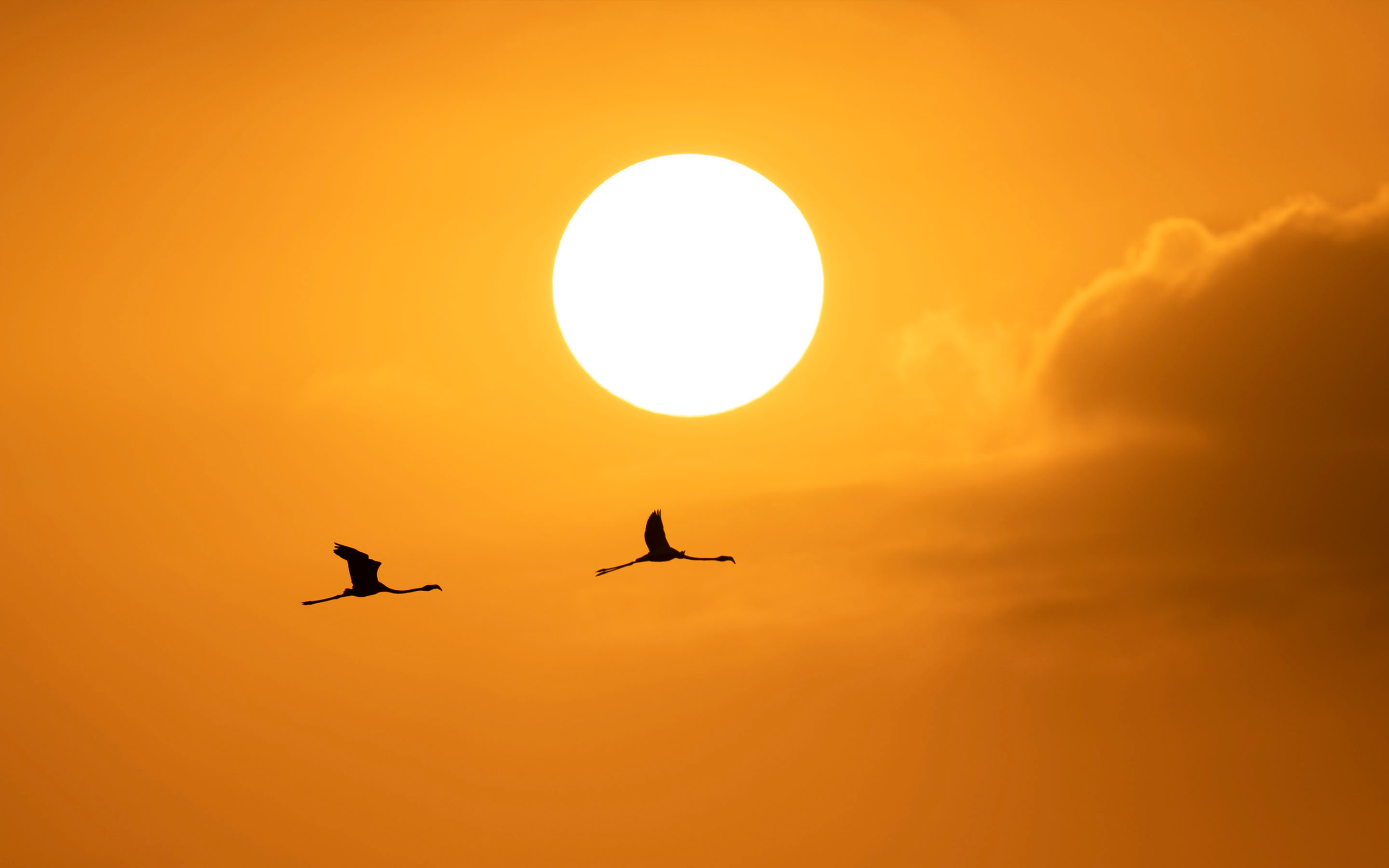 Akhil Vinayak Menon Photography