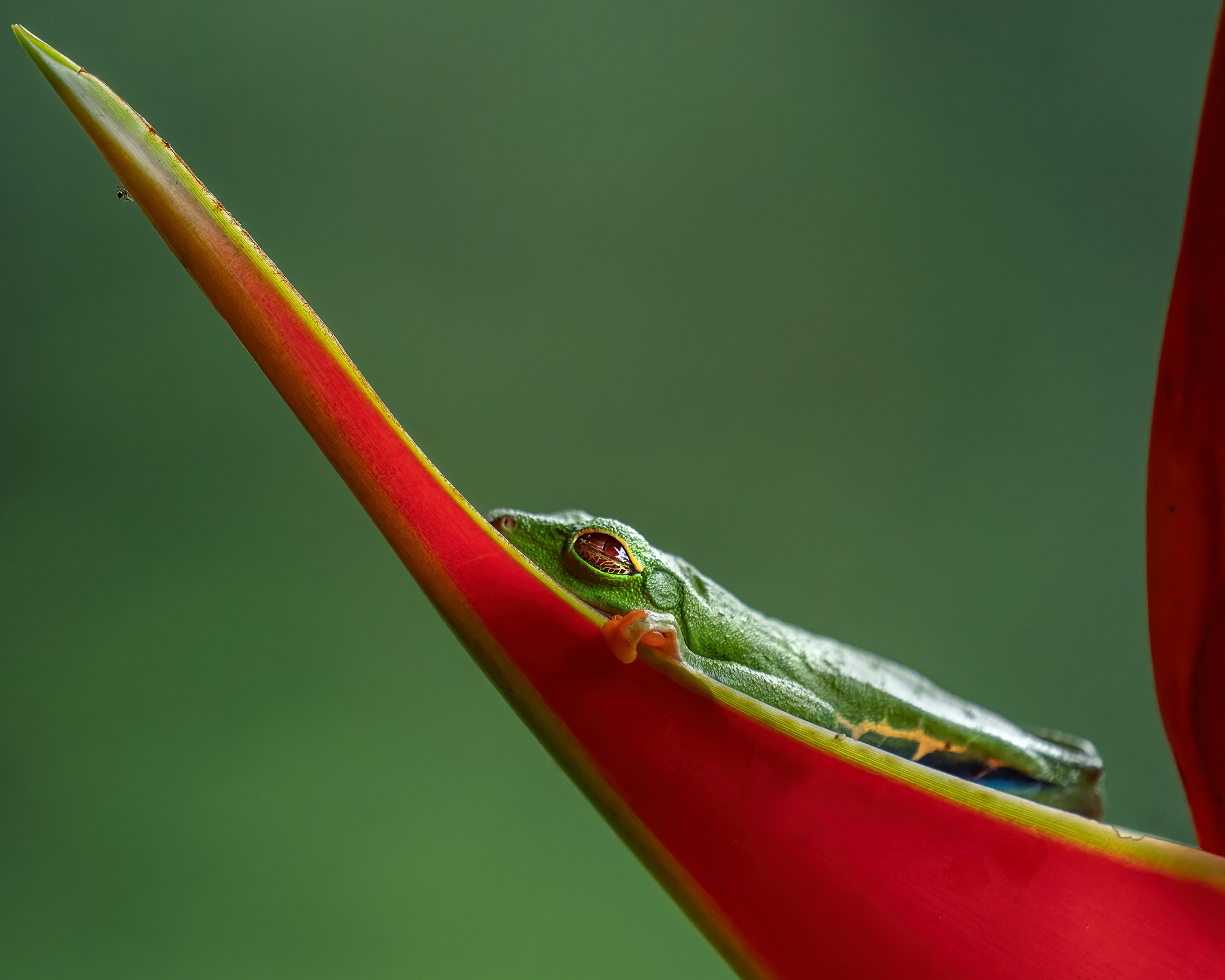 Akhil Vinayak Menon Photography