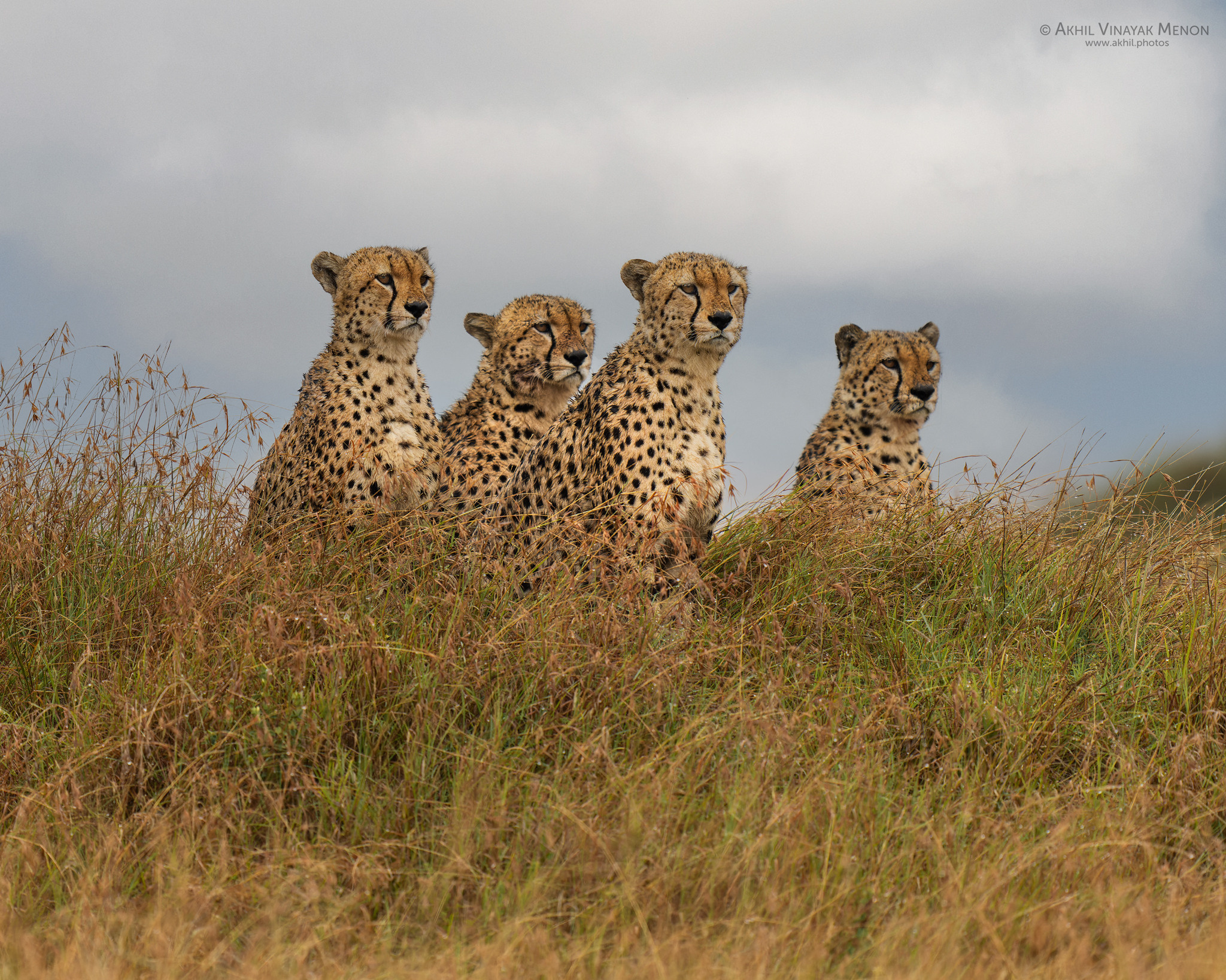 KENYA GALLERY | AKHIL VINAYAK MENON PHOTOGRAPHY. Akhil Vinayak Menon Photography