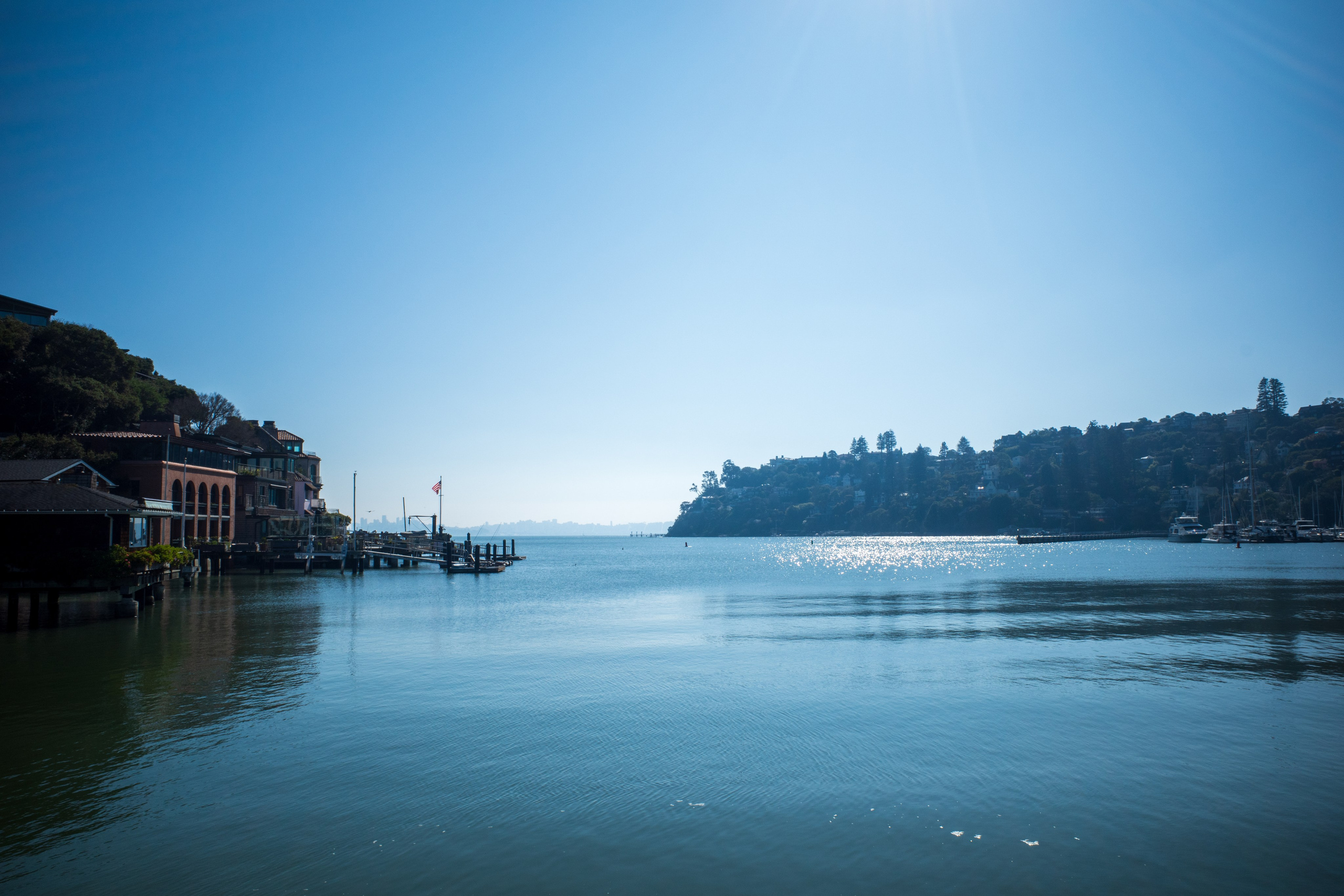 San Francisco. Aleks.photo | Book a photoshoot