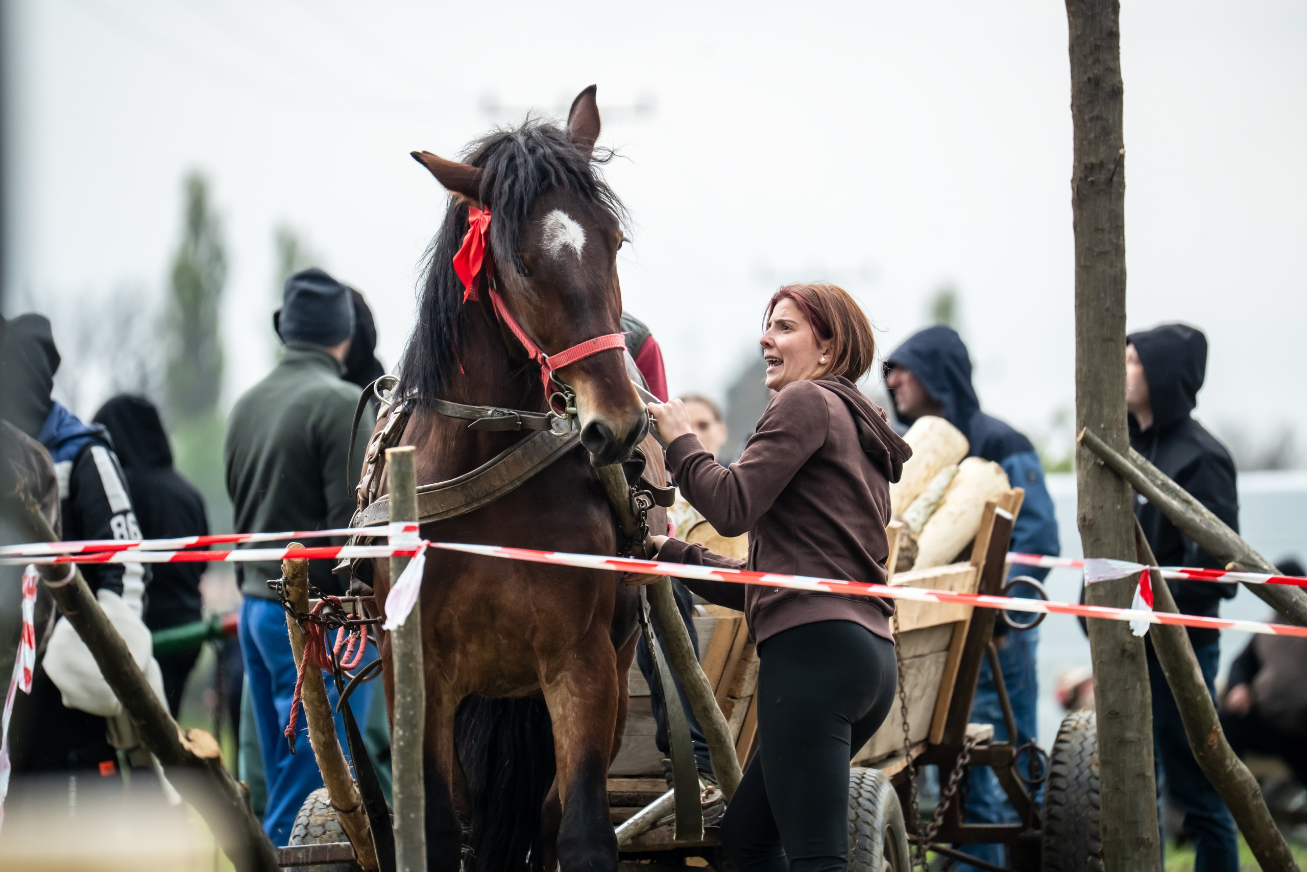 Concurs Ecvestru Vărbilău ediția a 4-a. Mihai Alexandra Events