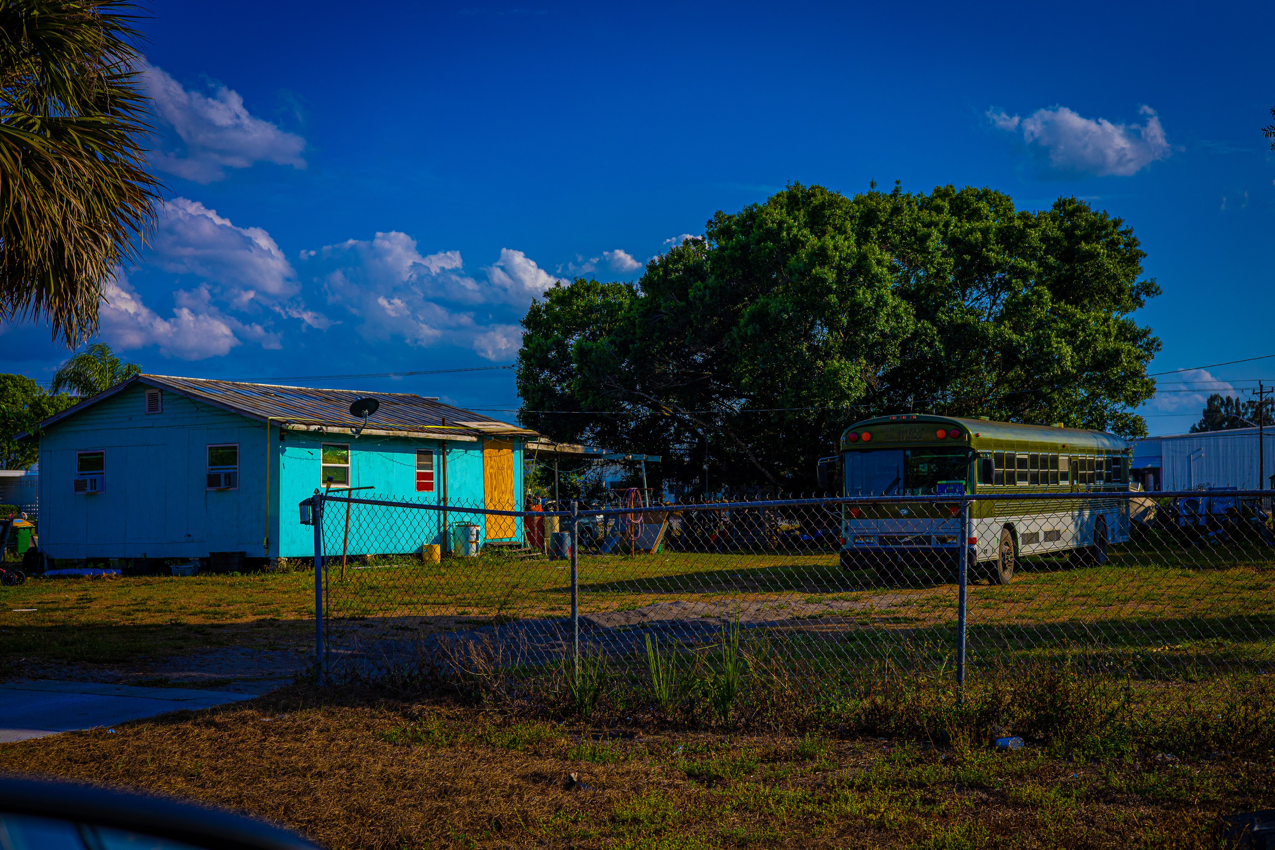 Americana — Immokolee. Out and About 239