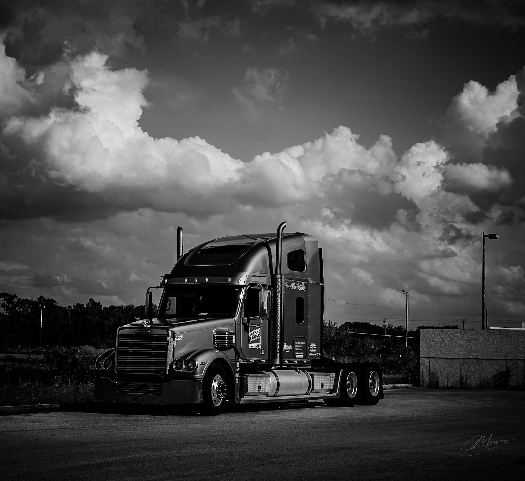 Black and White. Out and About 239