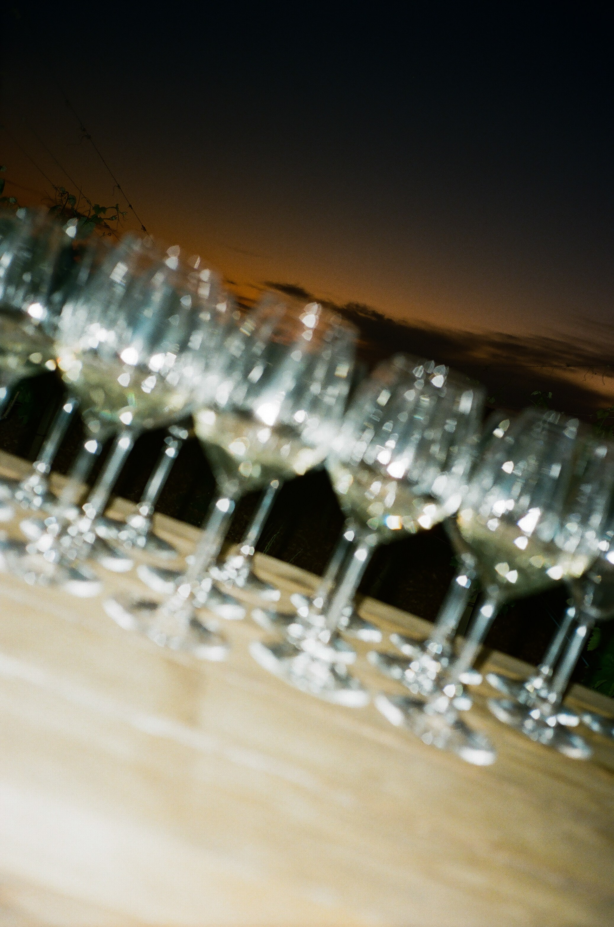 Stephanie & Christian film photos. Весільний фотограф Вікторія Саврук