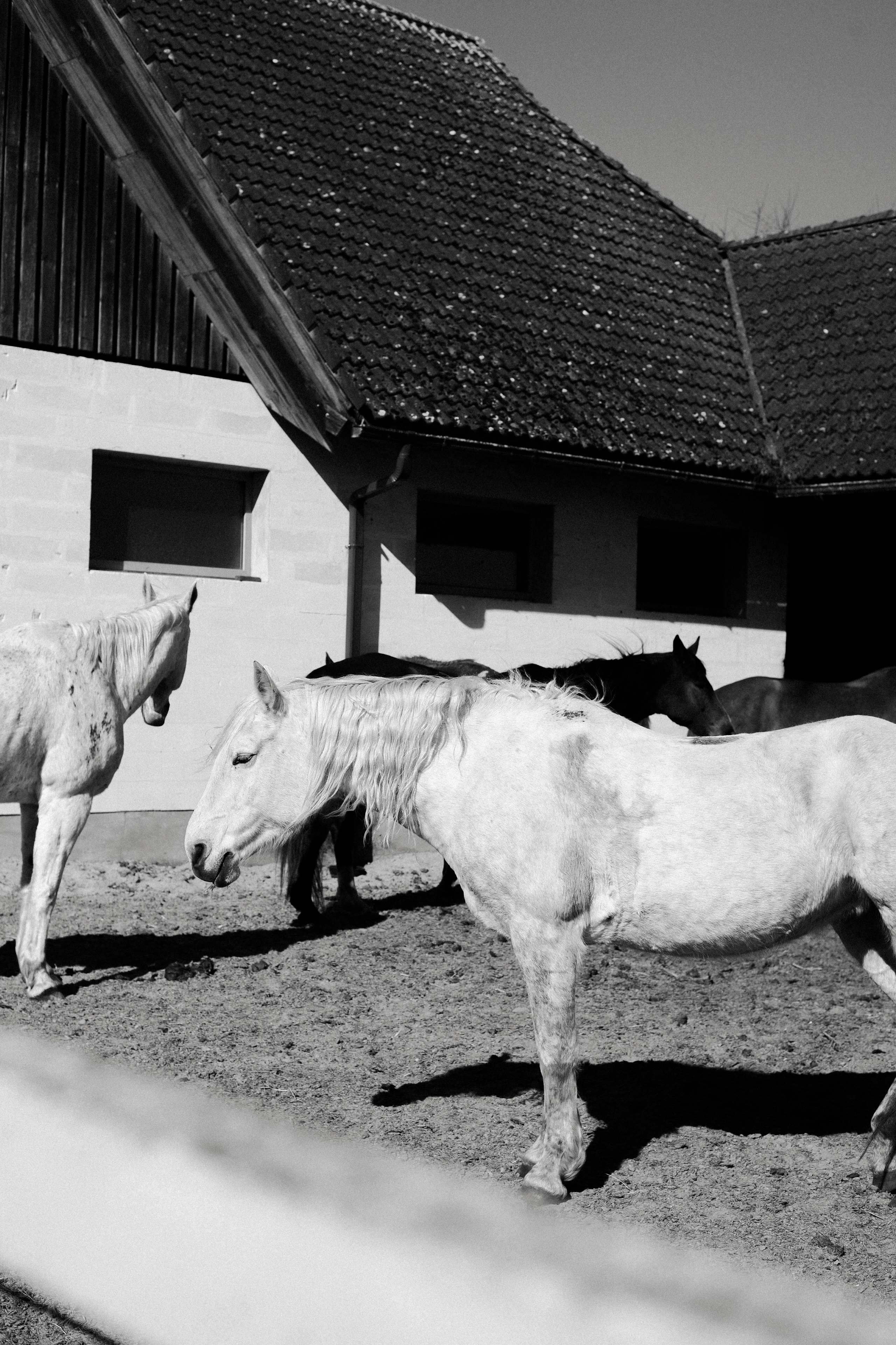 Кристина. Marianna.gluhova.photostory