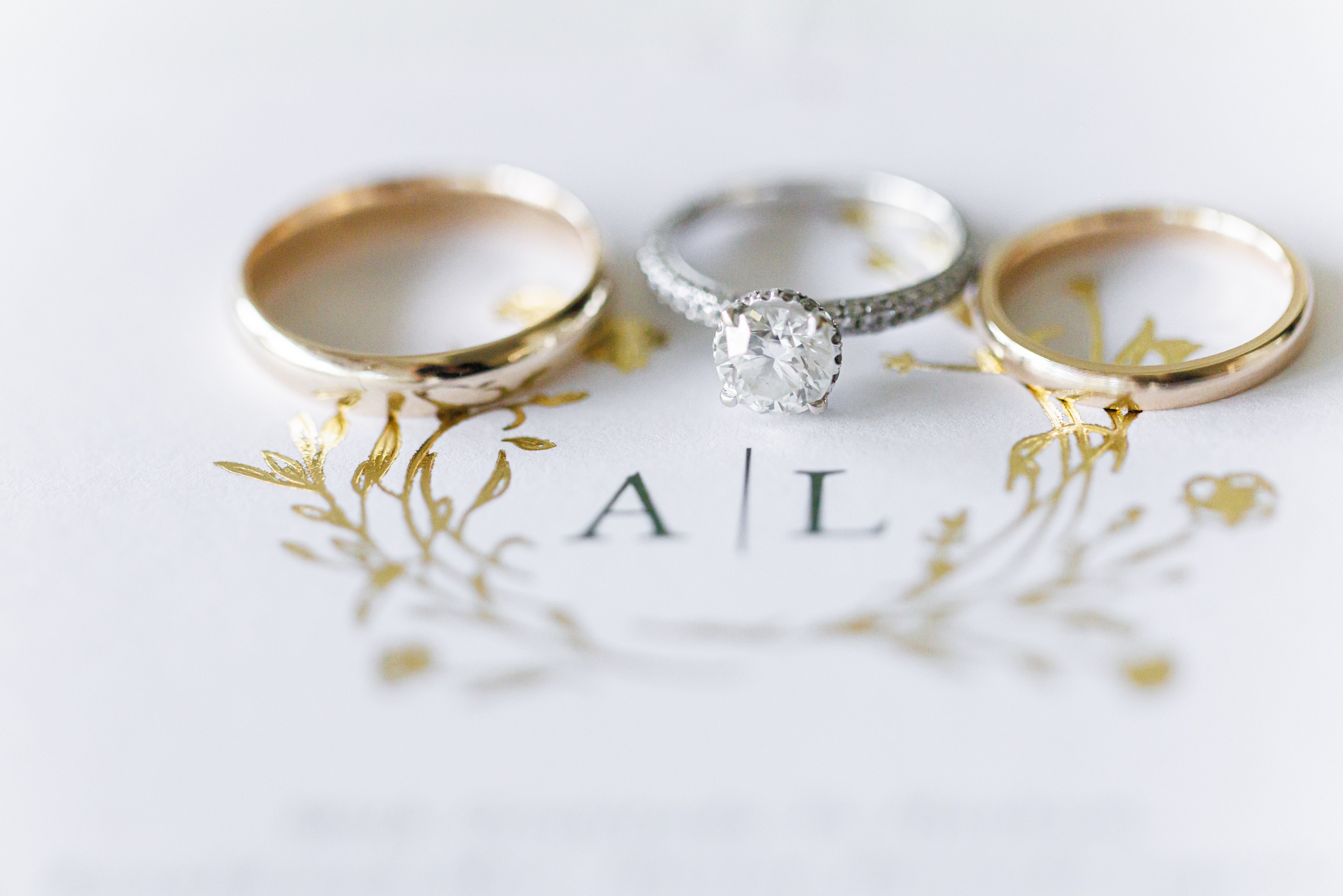 Ashley & Leshye, Falls Creek Farm Equestrian, NY. Wedding Photo & Video