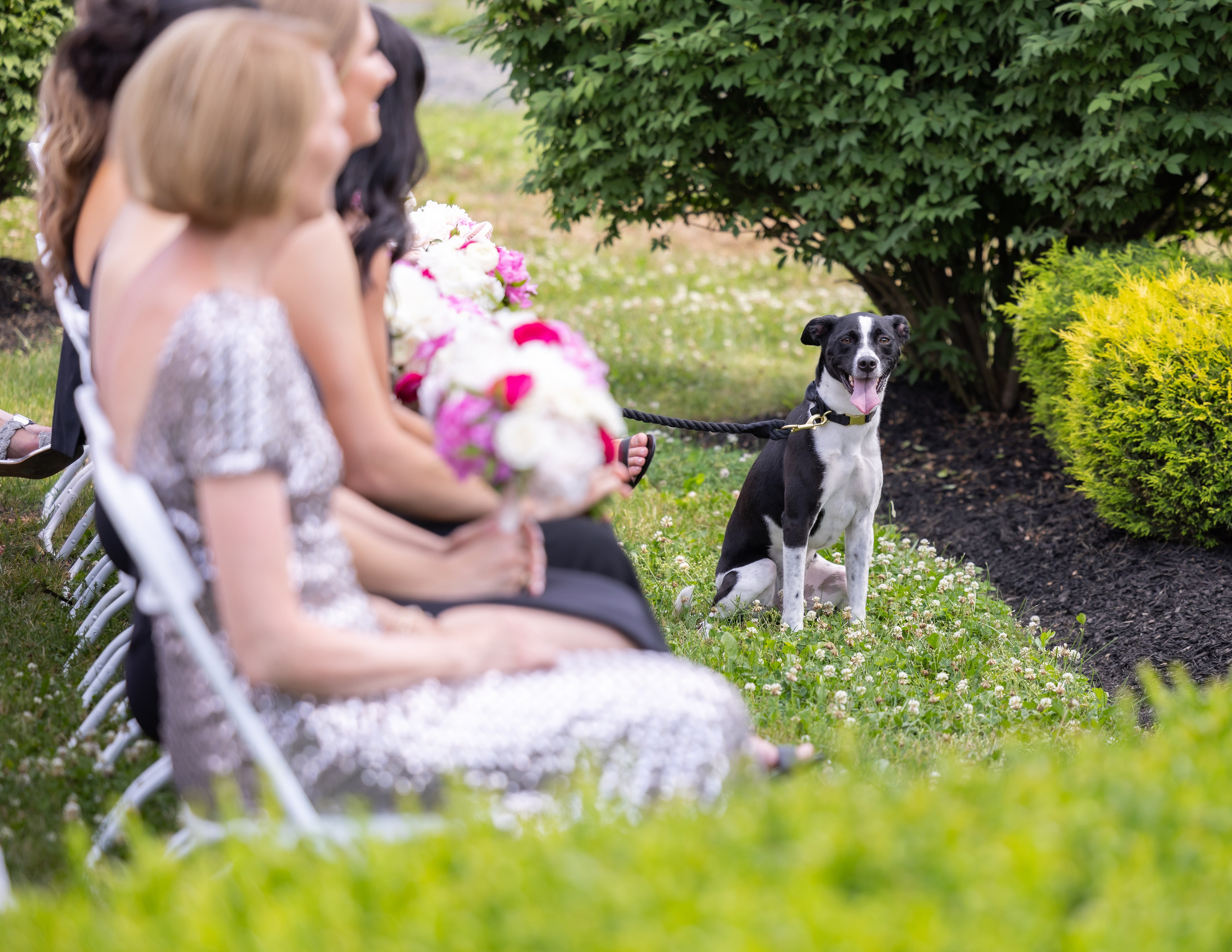 Angelica & Conor. Wedding Photo & Video