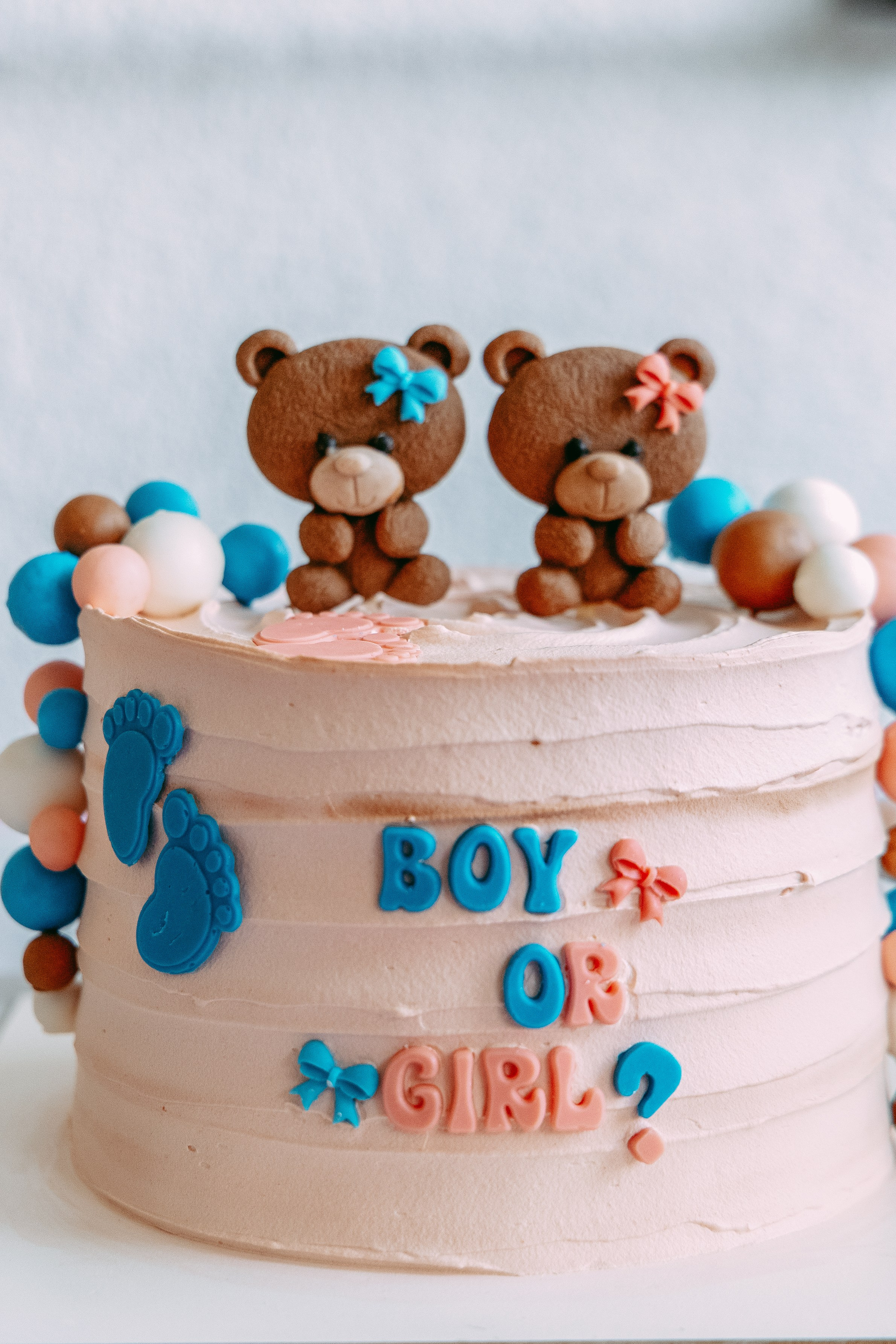 Gender Party for Alina and Michael. Home