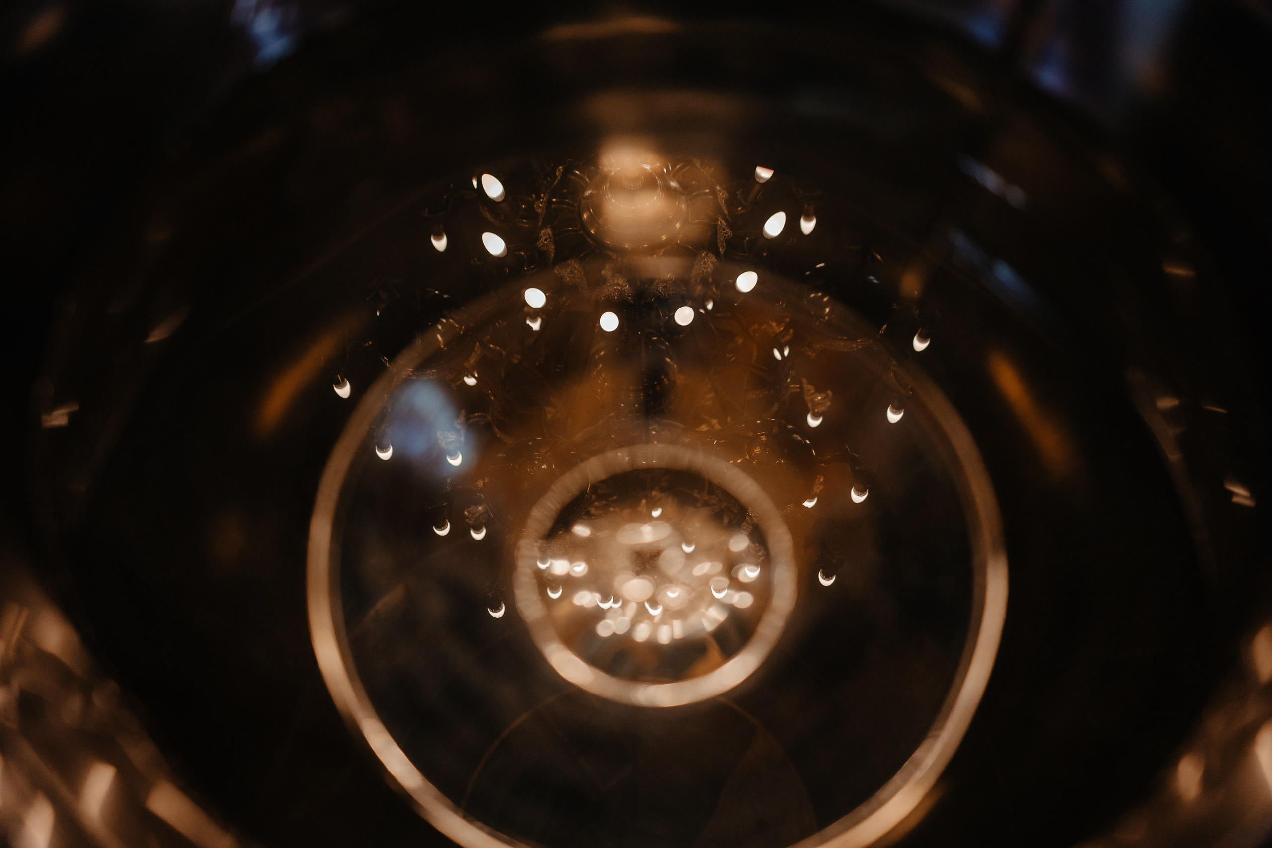 Cezar-Nicholas. FotoACTIV.ro-Your Image matters