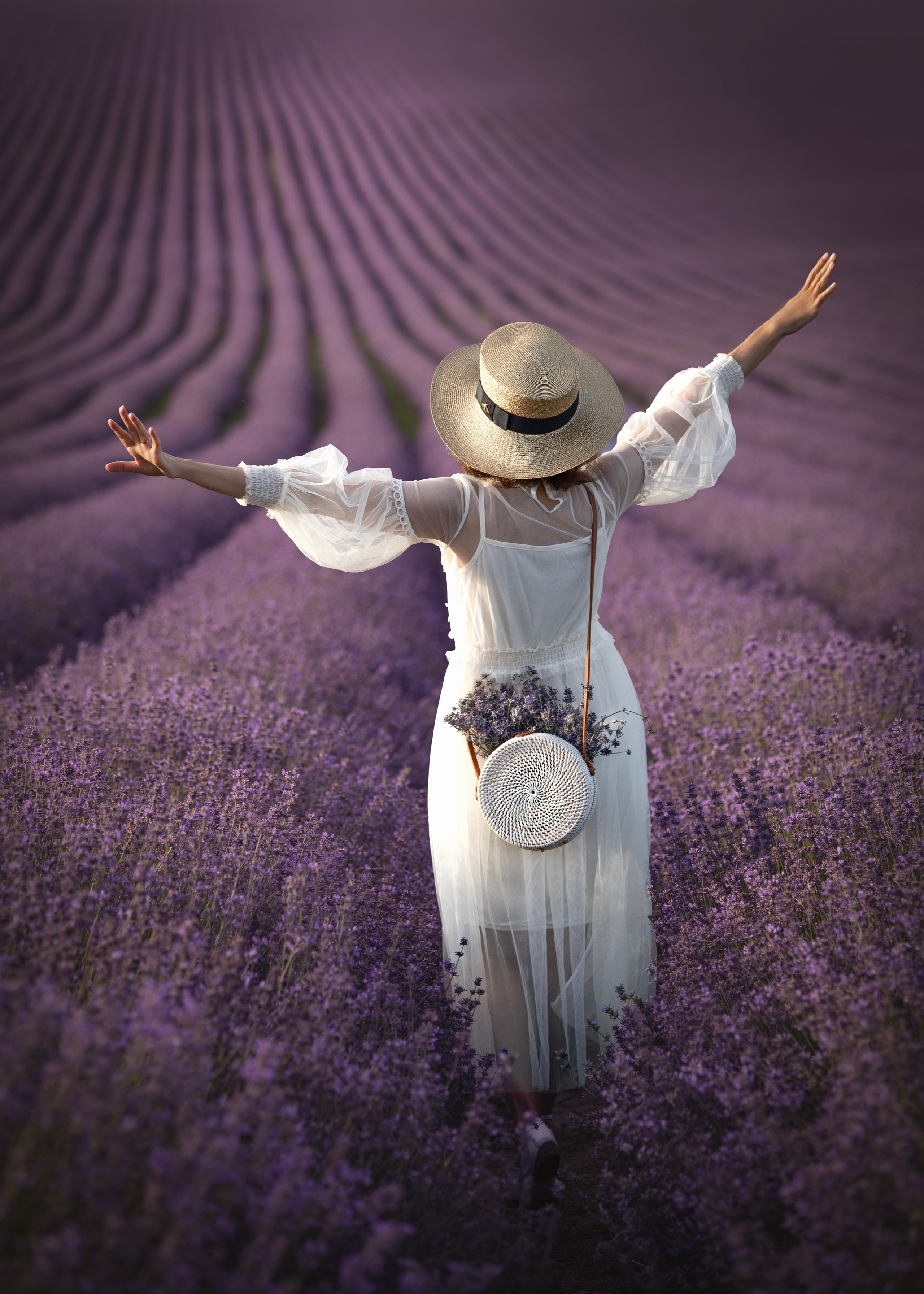 Lavendel. Photographer in Munich