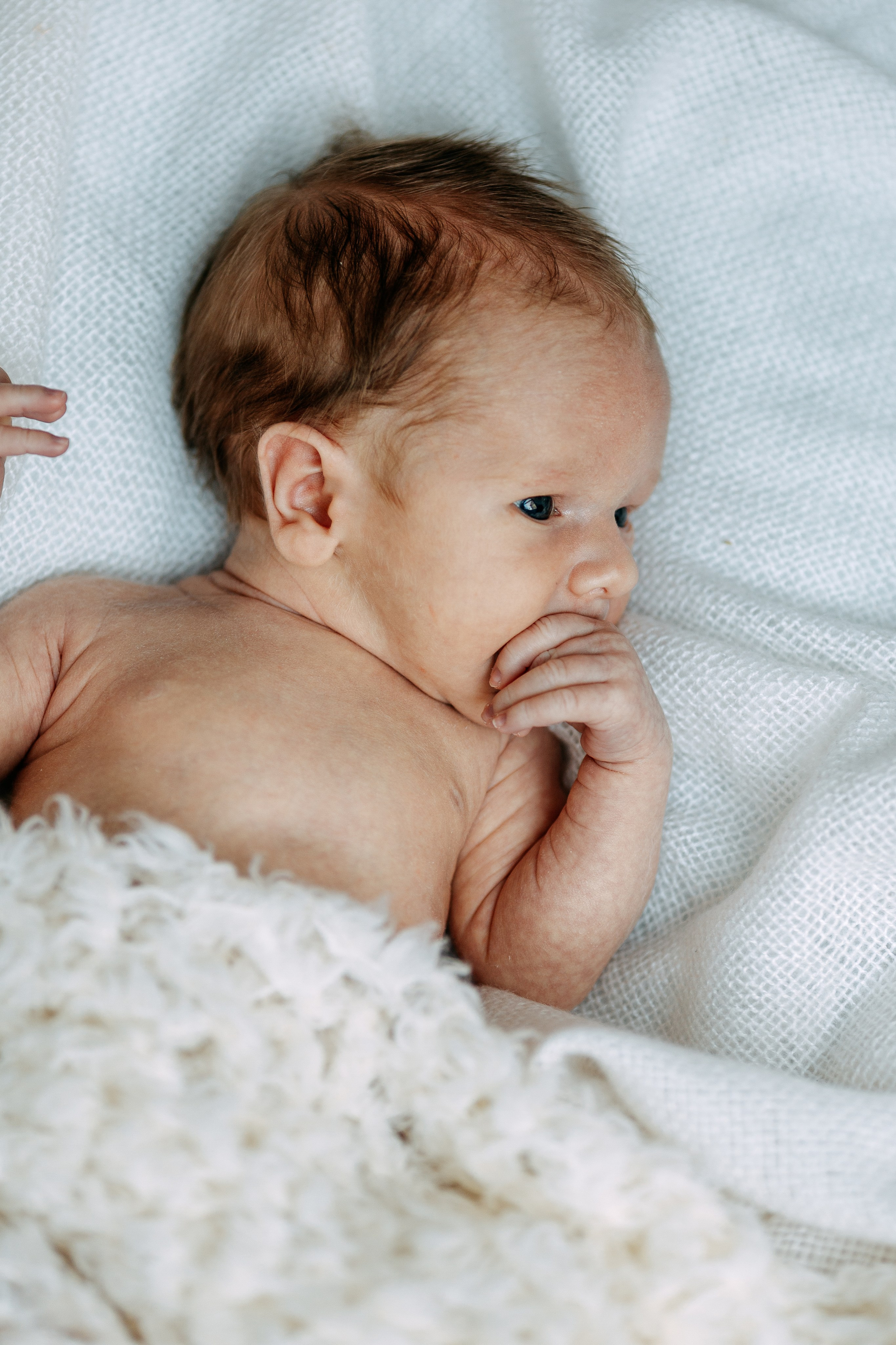Neugeborene. Professionele fotografin in Münsingen Olesia Wegele