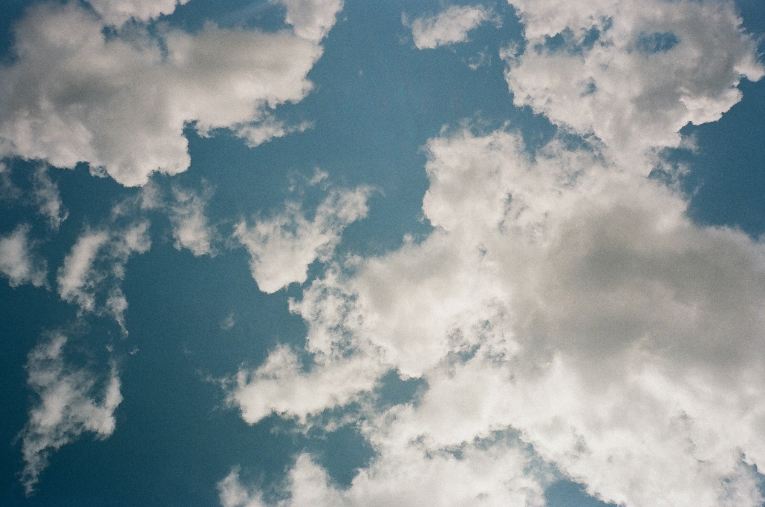 Stephanie & Christian film photos. Весільний фотограф Вікторія Саврук