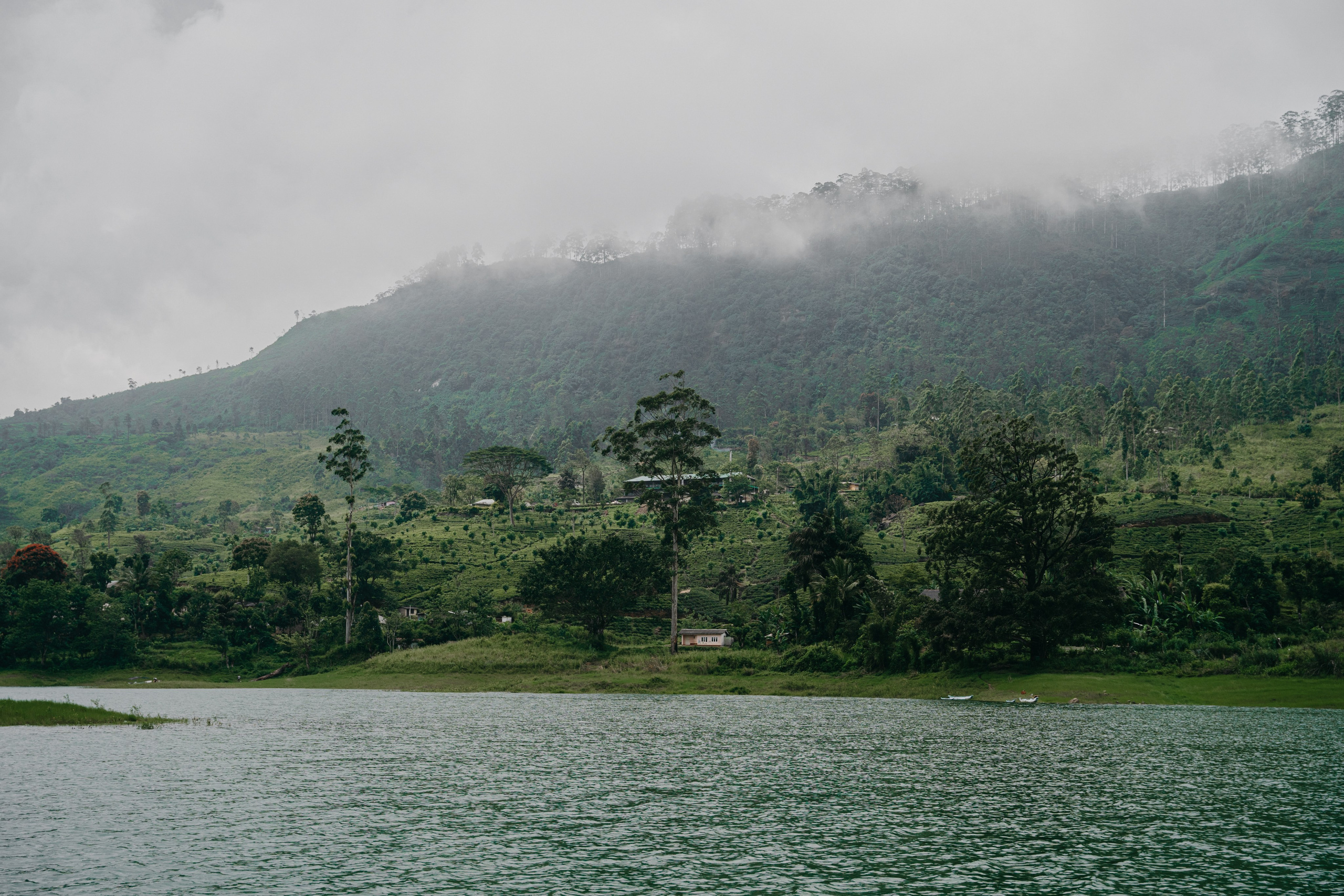 Relais & Châteaux, Tea Trails, Sri Lanka. Editorial photographer Yuliya Drazdovich
