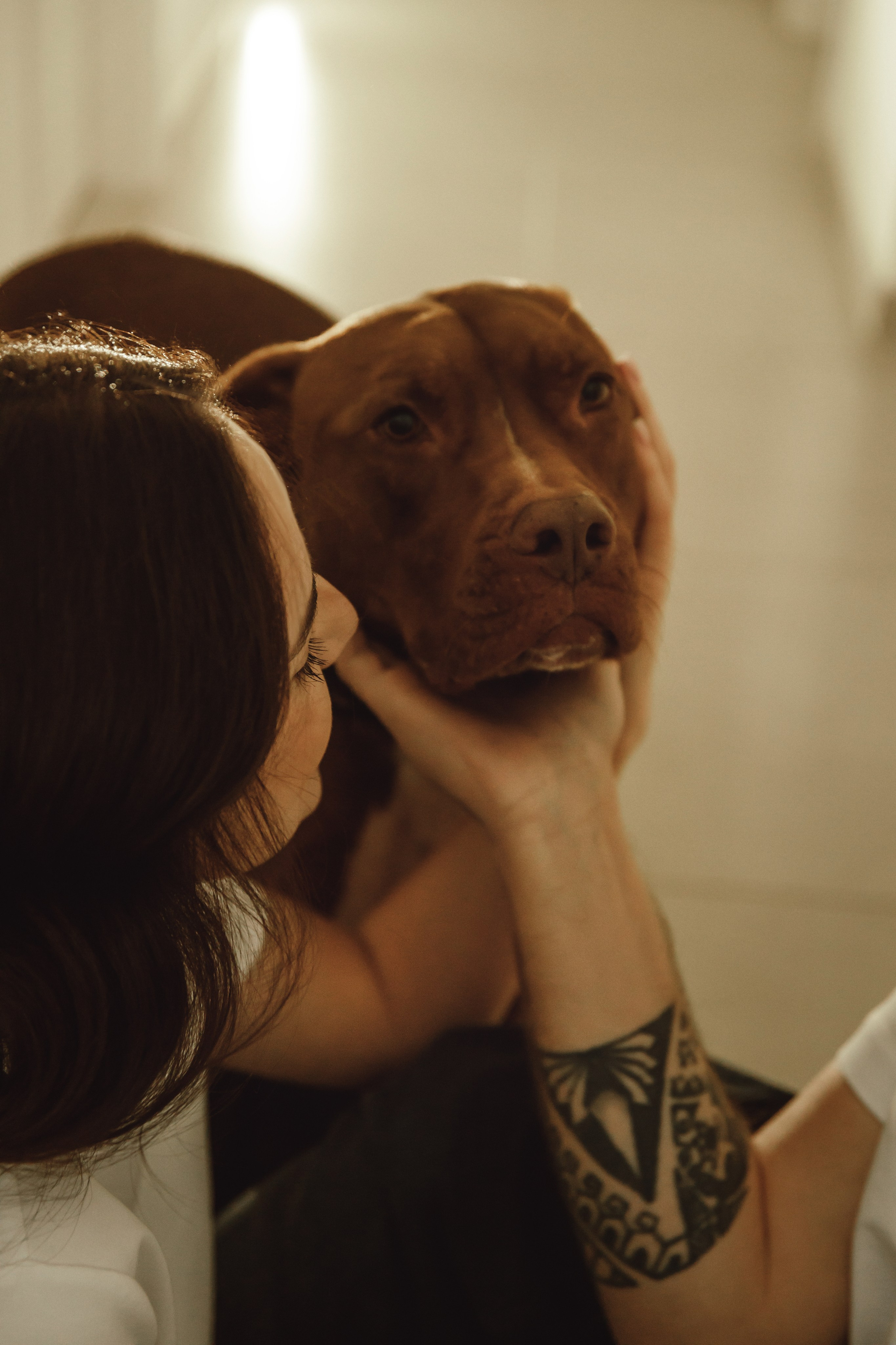 Family history. Семейный детский фотограф Бляхер Ирина в Израиле