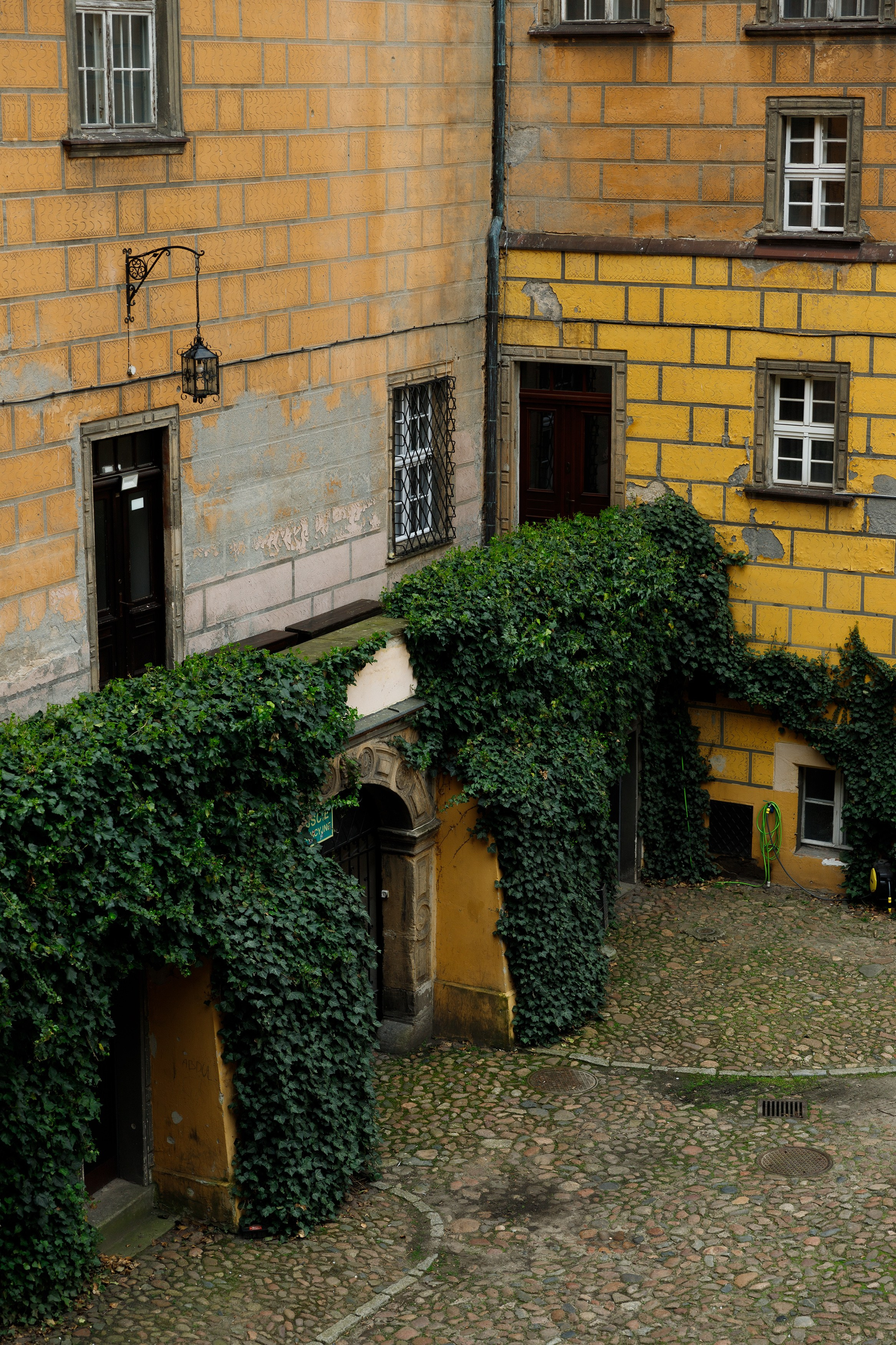 Oleśnica castle. Kaja | fotograf psów we Wrocławiu